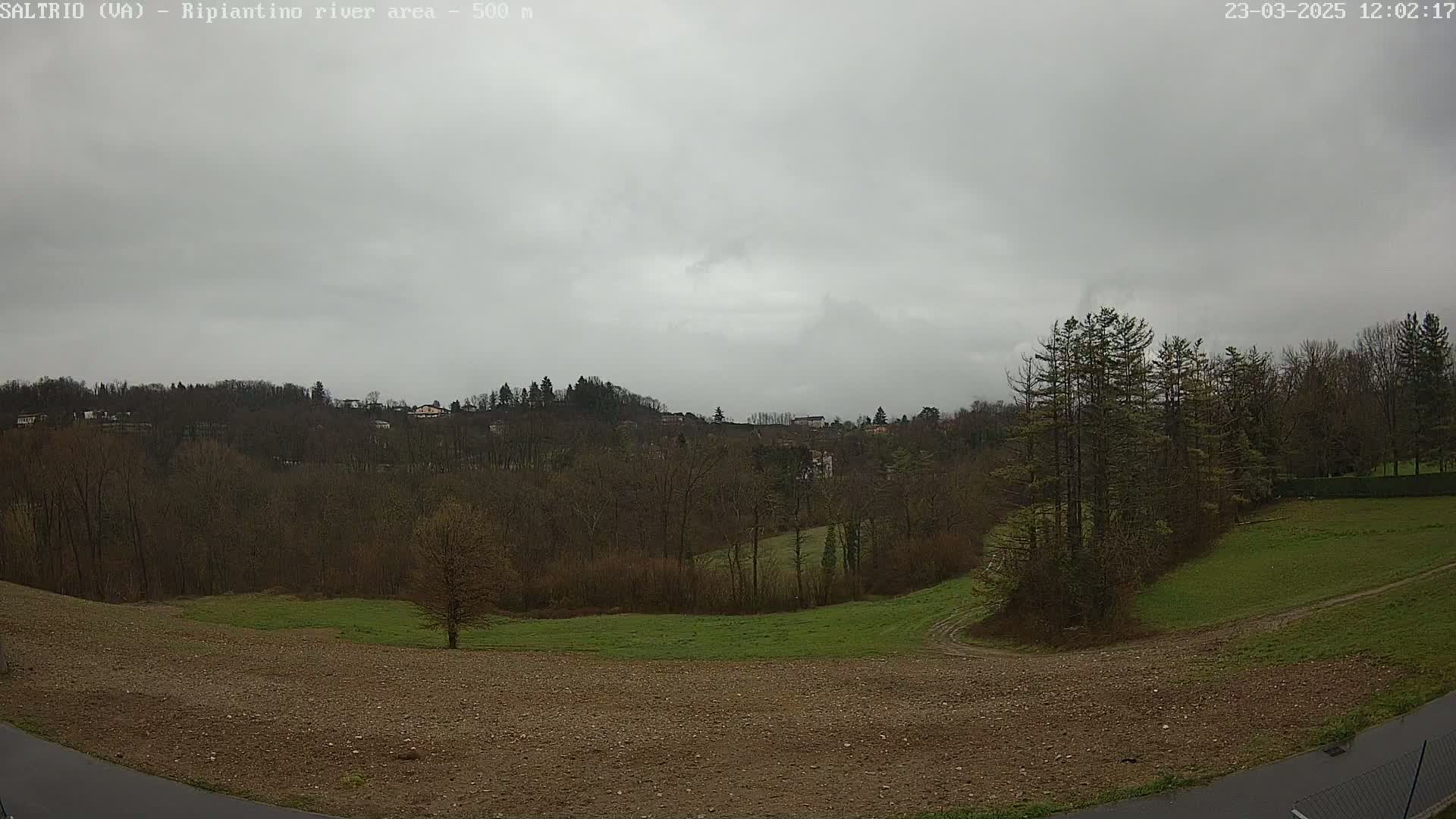 A view of a hilly landscape with bare trees and patches of grass under an overcast sky.