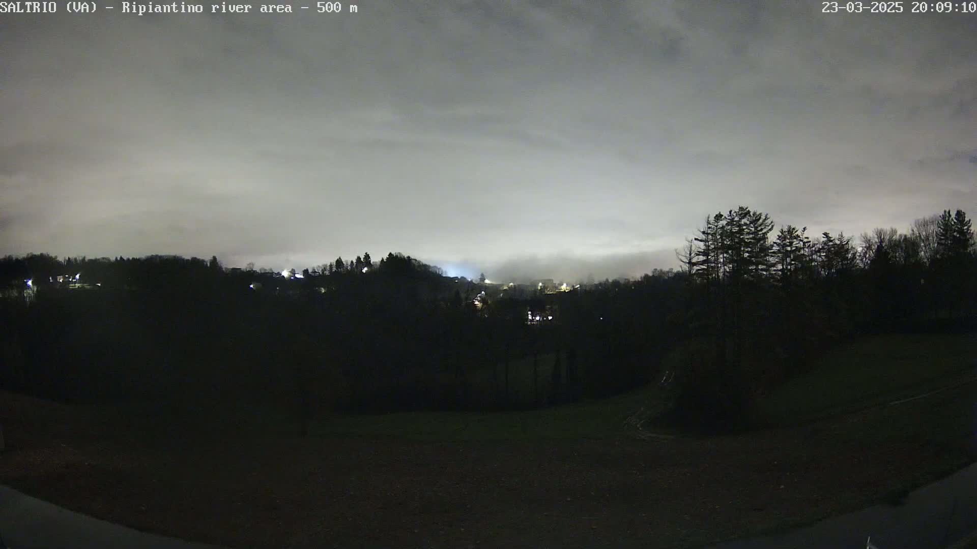 A nighttime view of a dark, tree-covered hillside with a few distant lights visible under a cloudy, overcast sky.