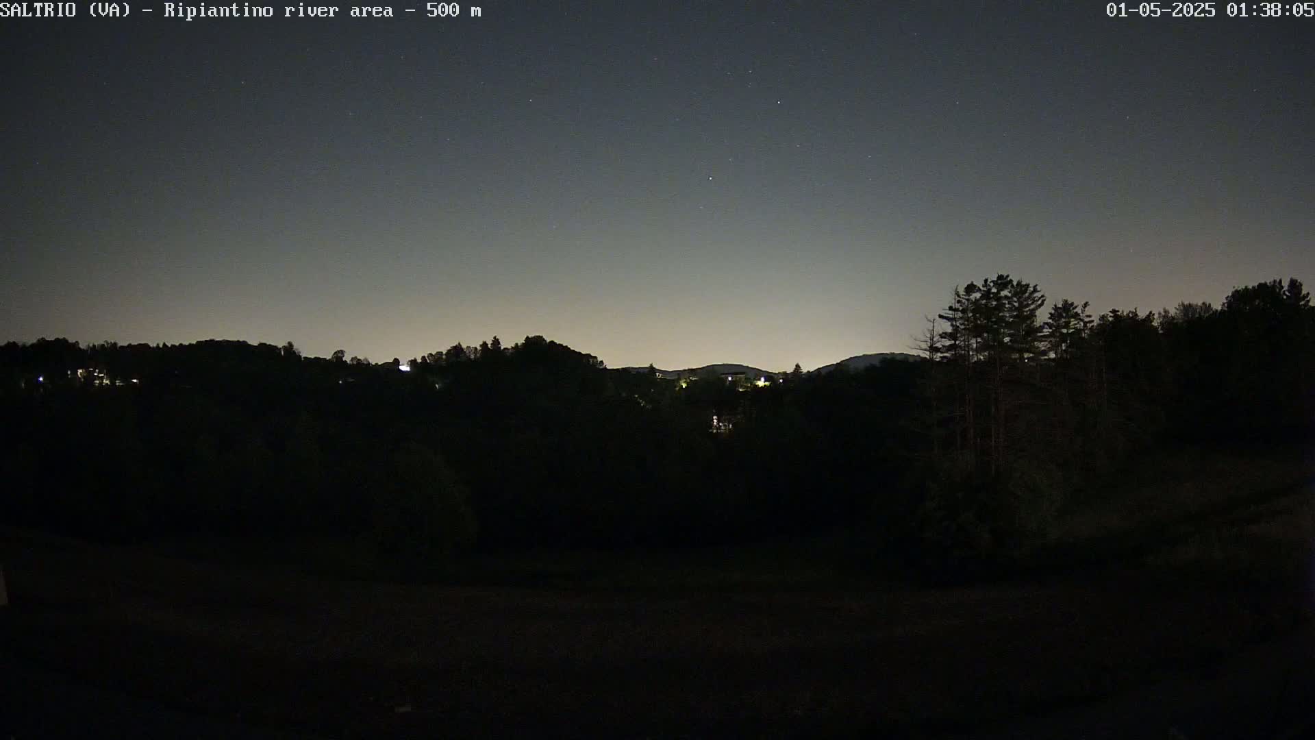 A dark, nighttime view of a forested area with a few distant lights visible under a clear, starry sky.