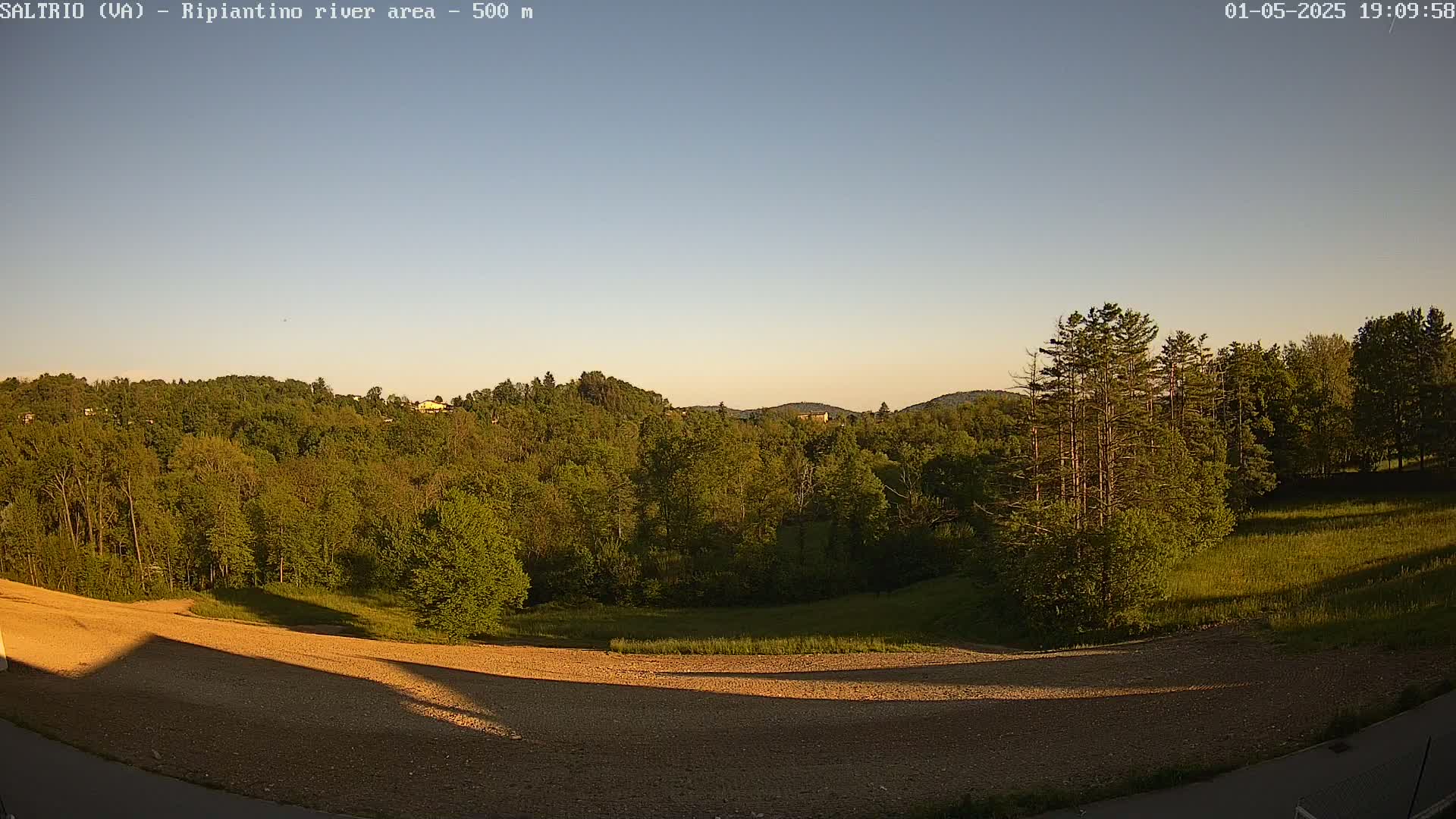 A view of a treeline and grassy field at sunset, with a brown, barren area in the foreground.