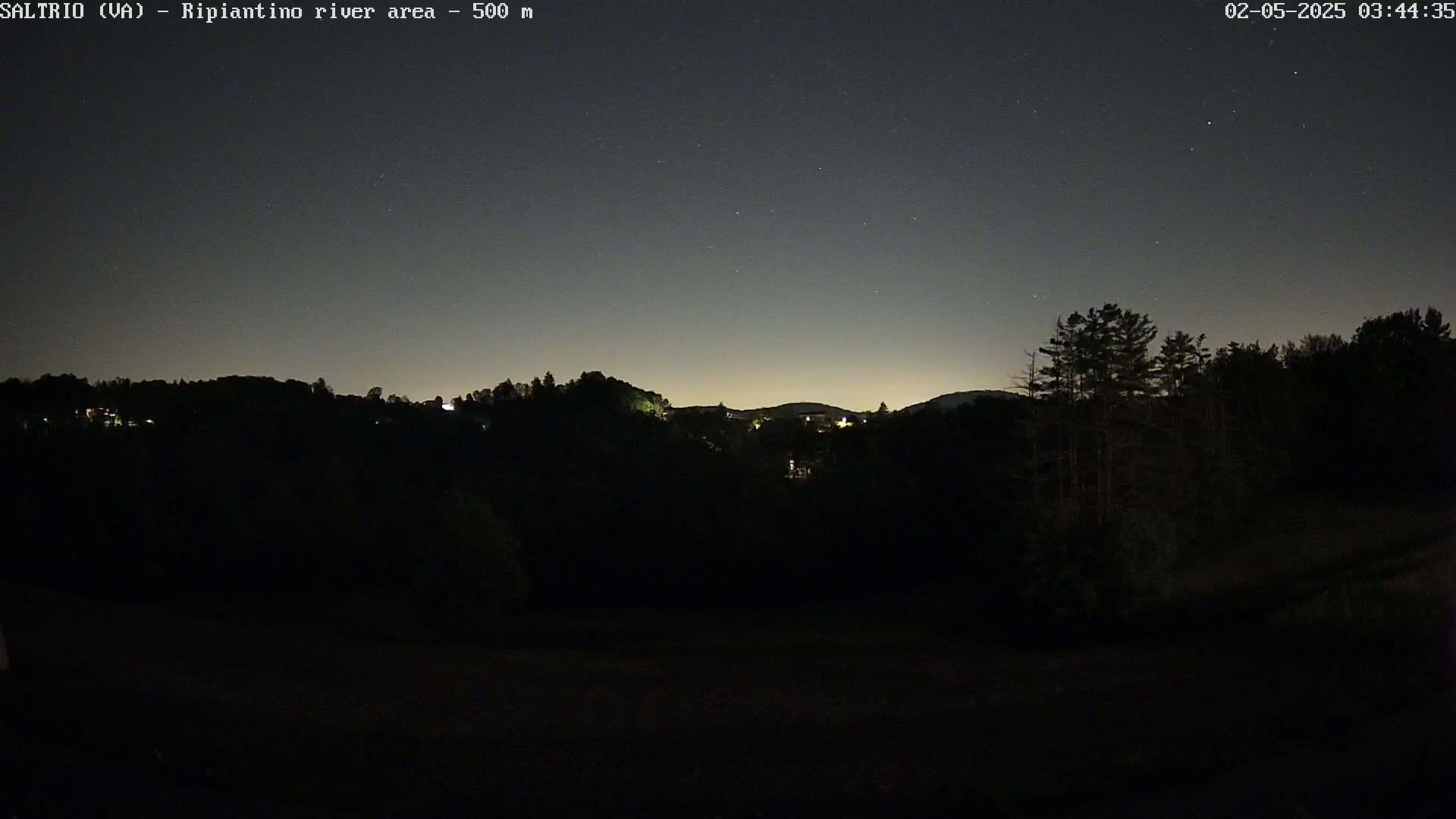A nighttime view of a dark, wooded hillside under a clear, starry sky.