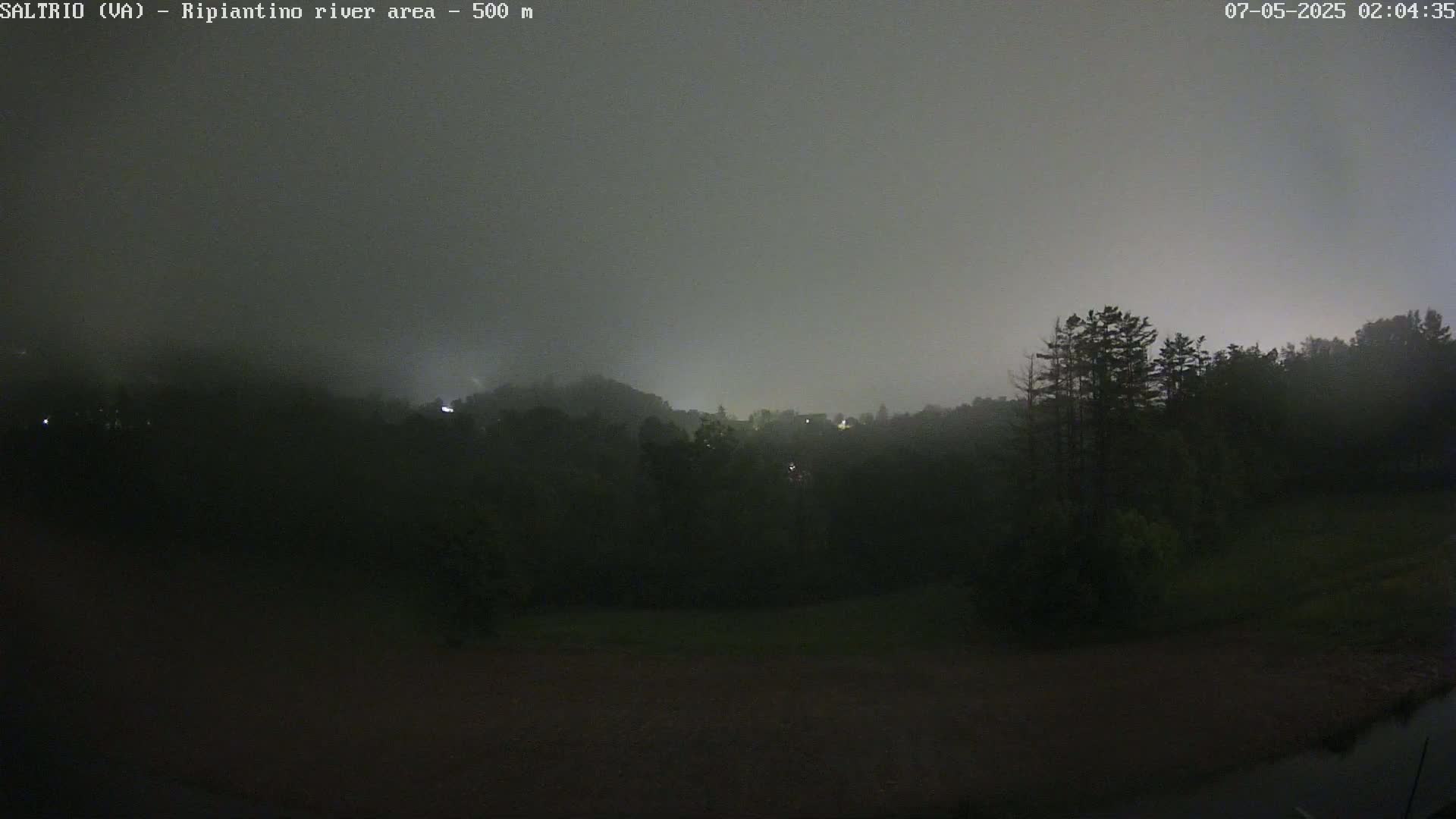 A foggy night scene shows dark trees and hills under a gray sky.