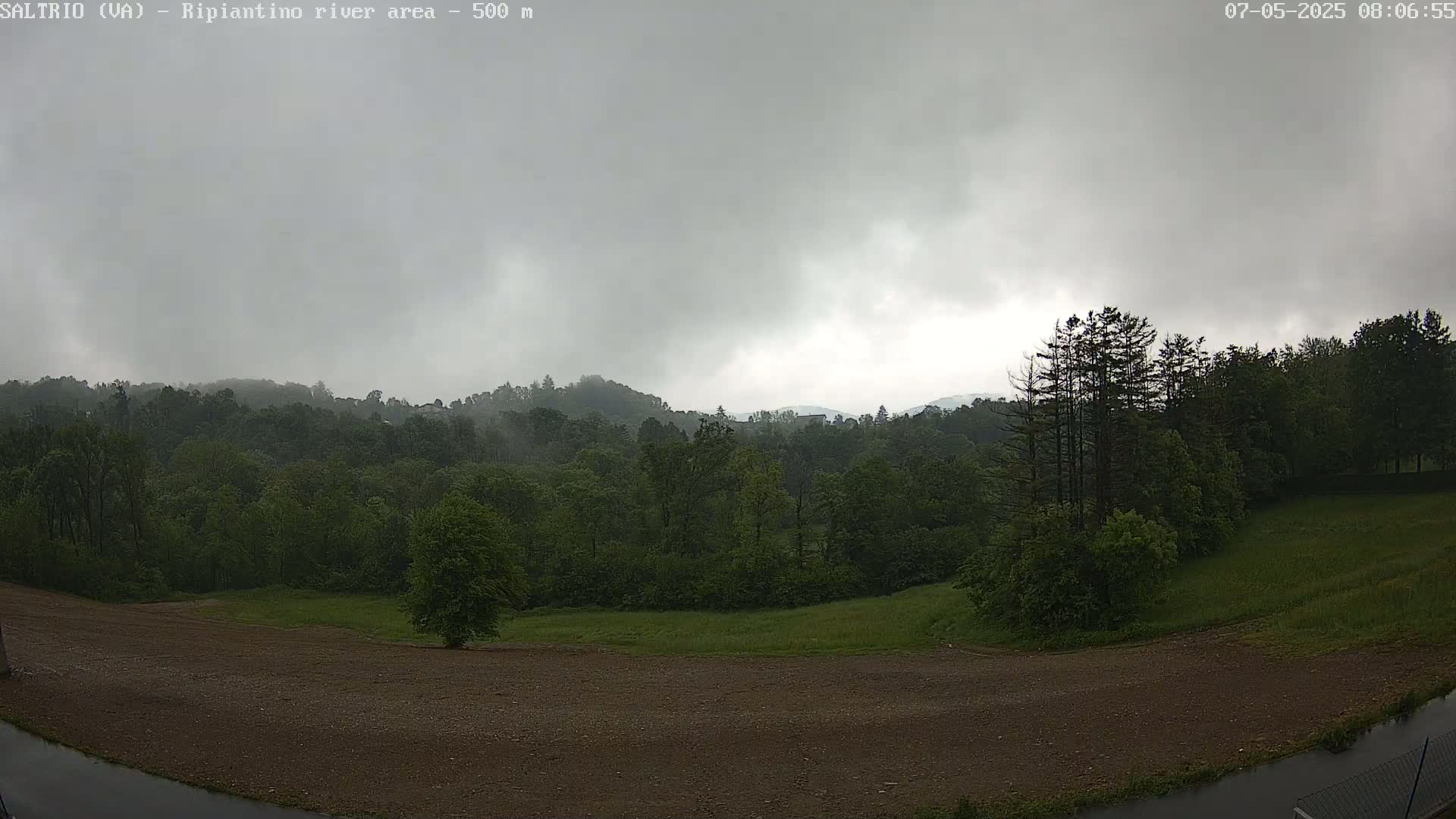 A mostly cloudy, overcast day reveals a view of a lush green forest and a brown, barren field, with a small body of water in the bottom right corner.