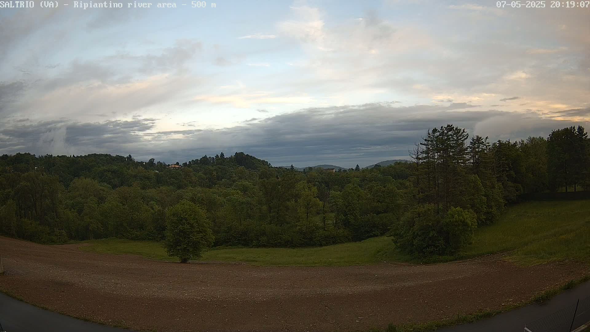 A view of a verdant forest under a partly cloudy sky, with a brown dirt area in the foreground.