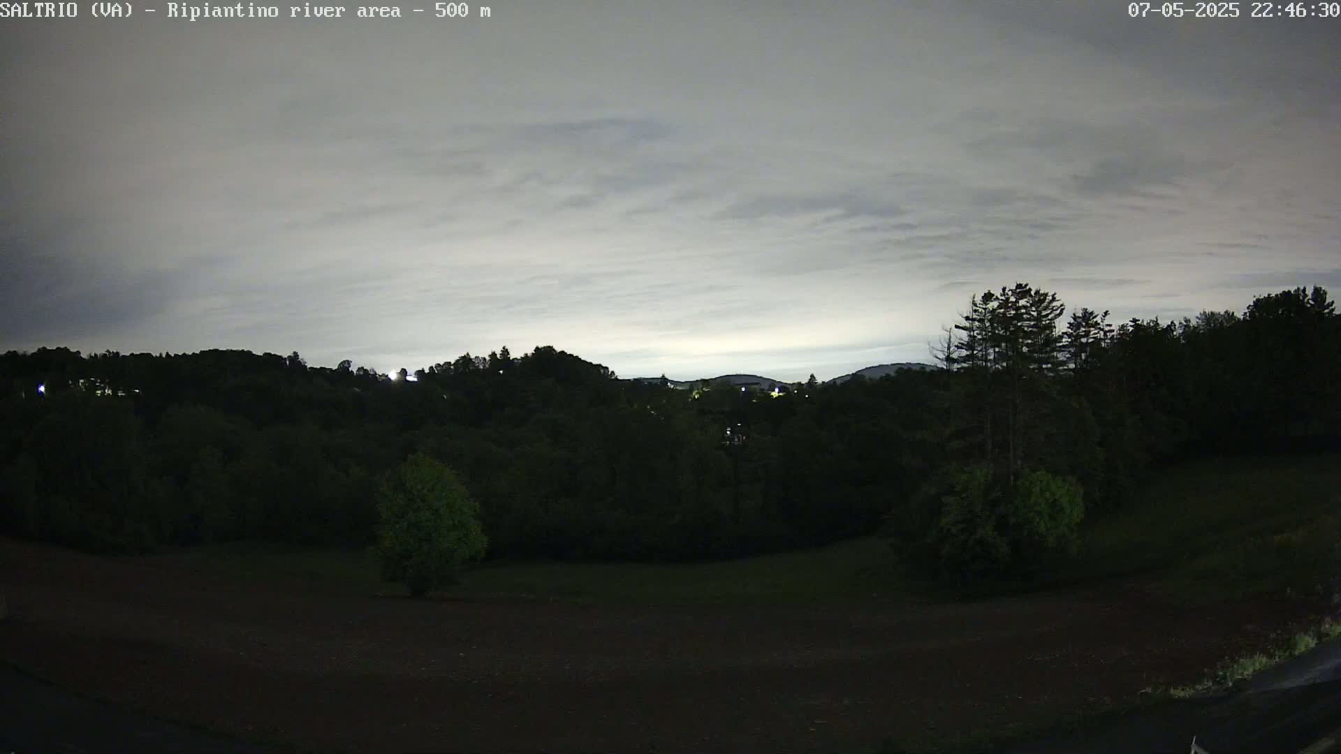 A nighttime view of a dark, wooded area under a cloudy, light gray sky.