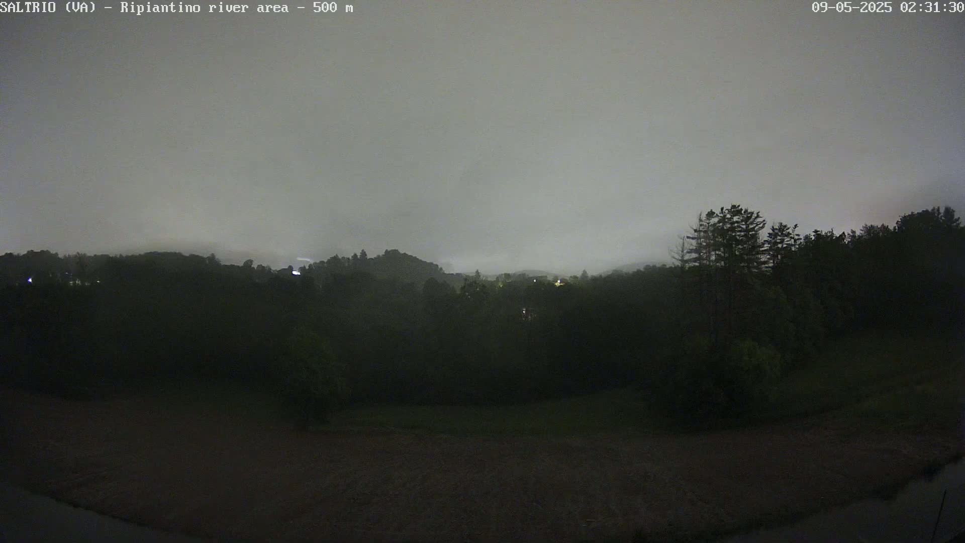 A nighttime view of a dark, foggy landscape featuring trees and a flat expanse of land, possibly a field.