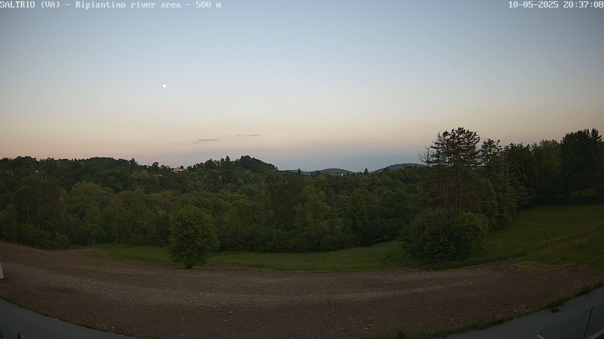 A high-angle, long shot of a verdant forest and a clearing under a twilight sky with a visible moon.