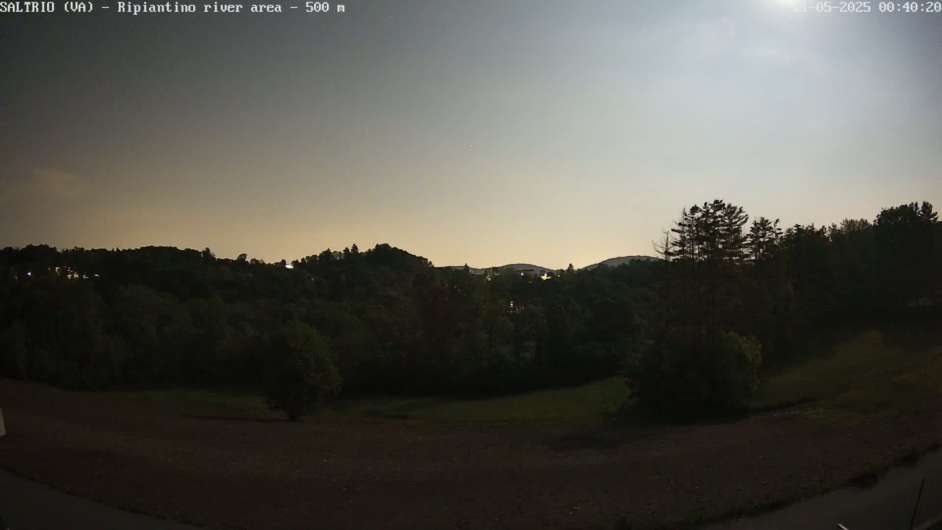 A moonlit night scene shows dark green trees and hills, a flat, dark brown field in the foreground, and a pale sky.