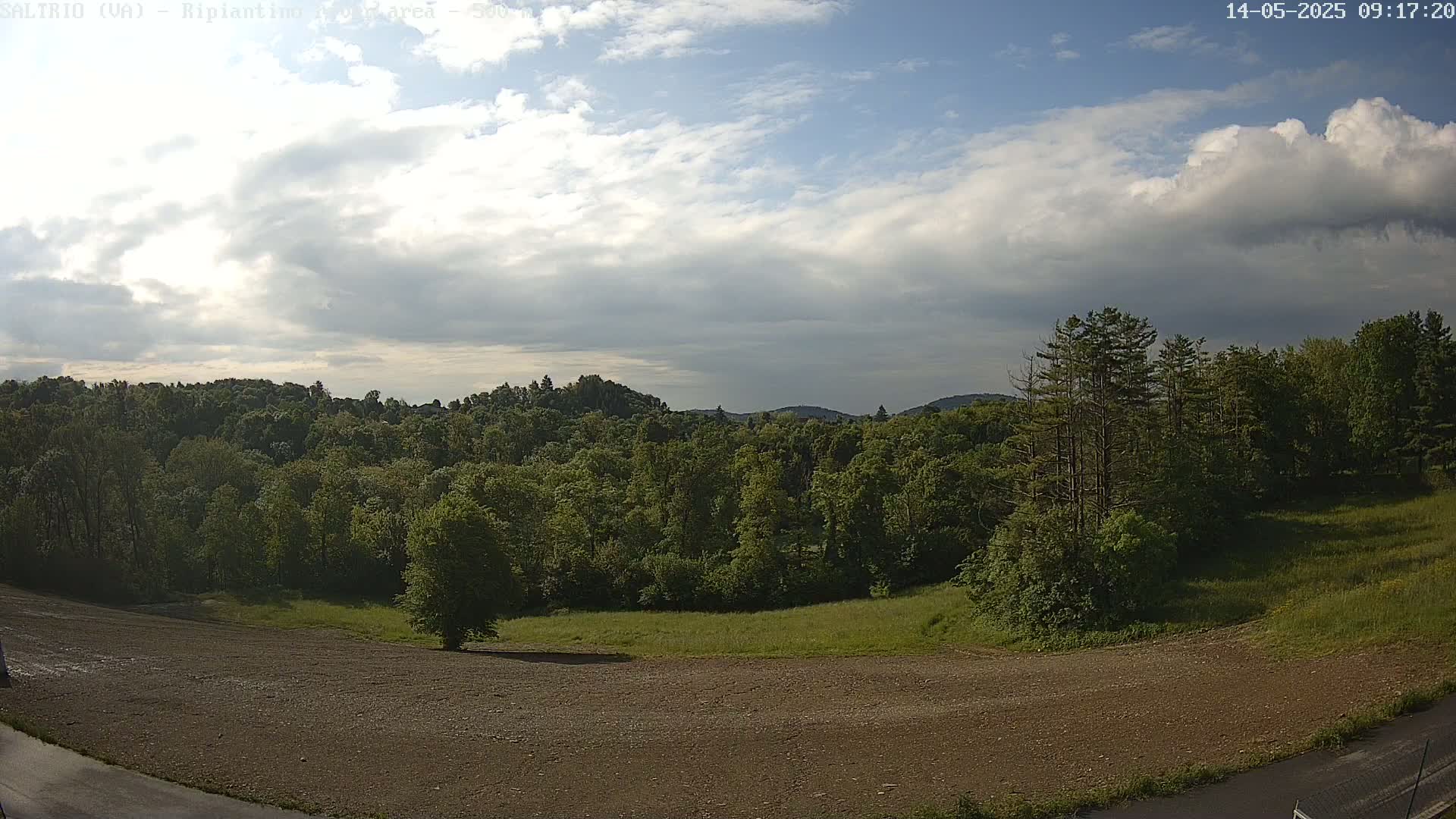 A partly cloudy sky overlooks a large expanse of green forest and a cleared, brown field.