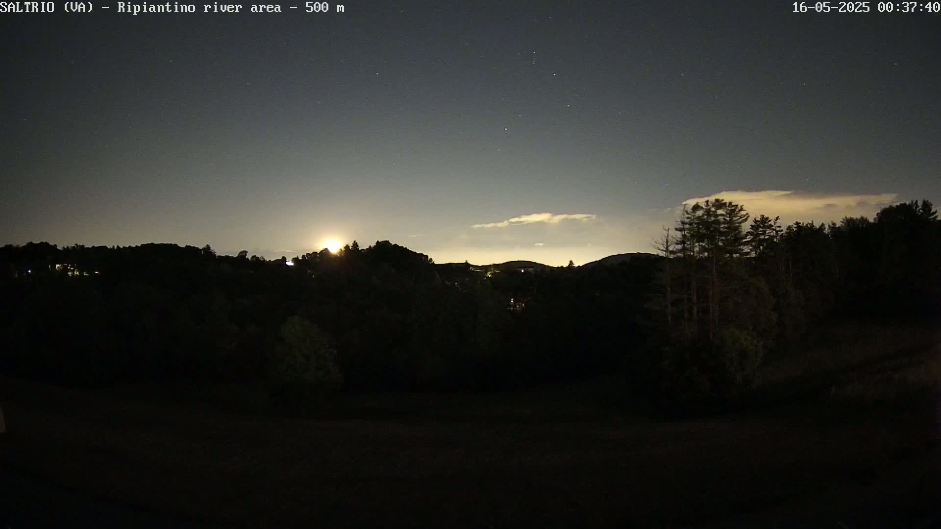 A nighttime view of a moonlit, tree-covered landscape under a partly cloudy sky.
