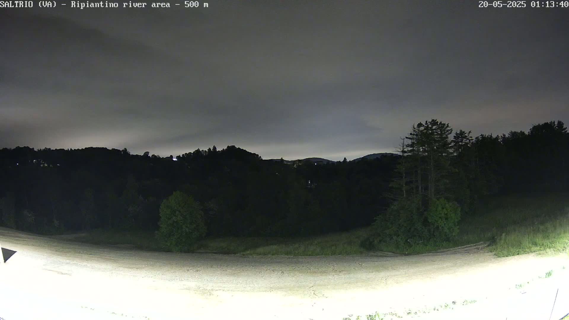 A nighttime view of a dark, tree-covered hillside under a cloudy sky, with a light-colored, possibly dirt, area in the foreground.