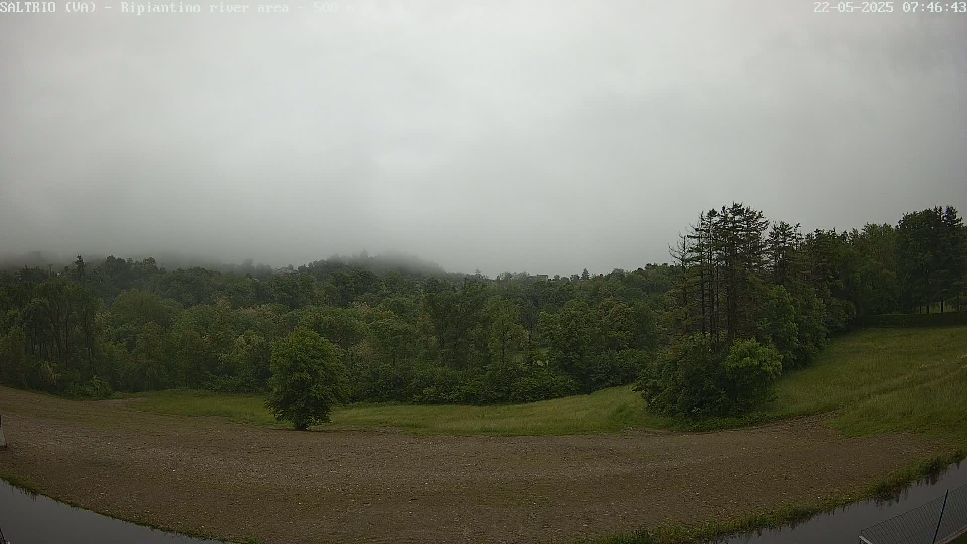A foggy view of a verdant forest and a bare, flat expanse of land, with a small body of water in the bottom left corner.