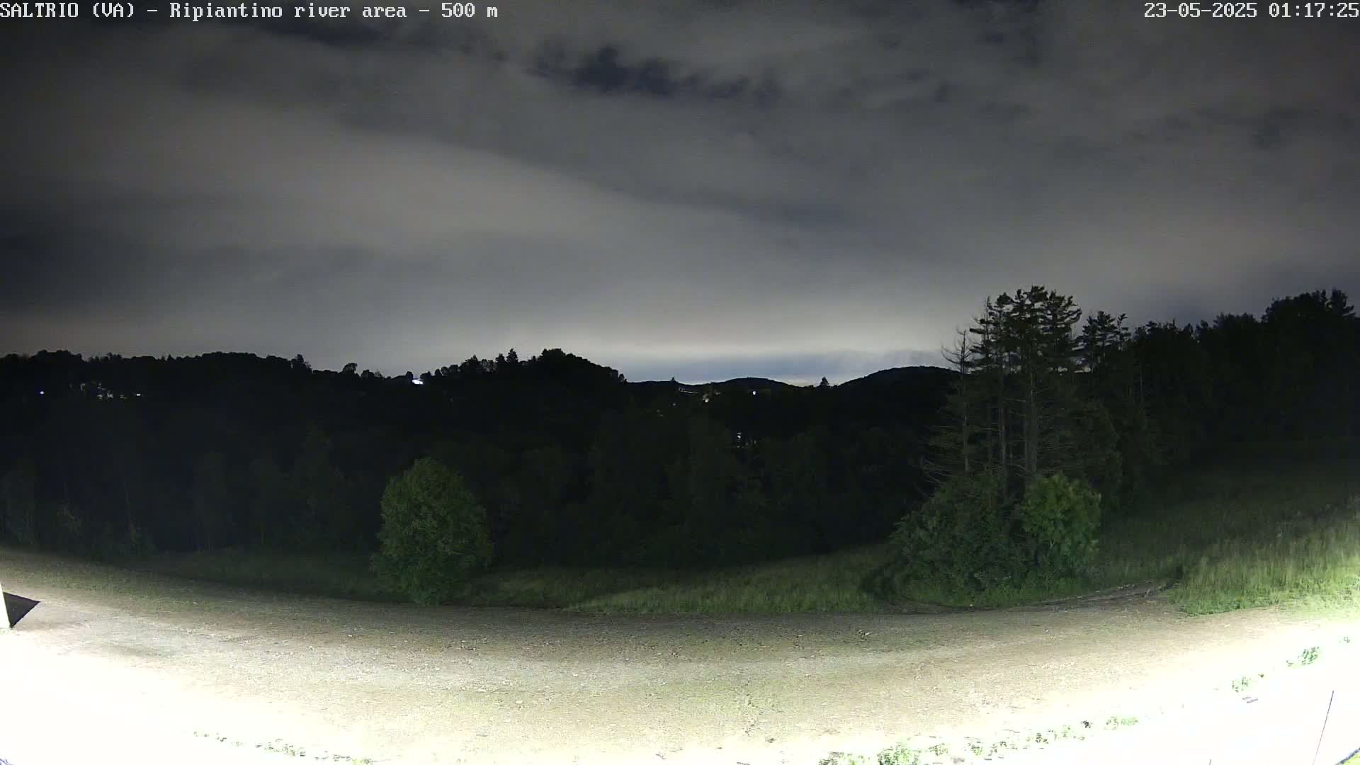 A nighttime view of a dark, wooded hillside under a cloudy sky, with a flat, light-colored area in the foreground.