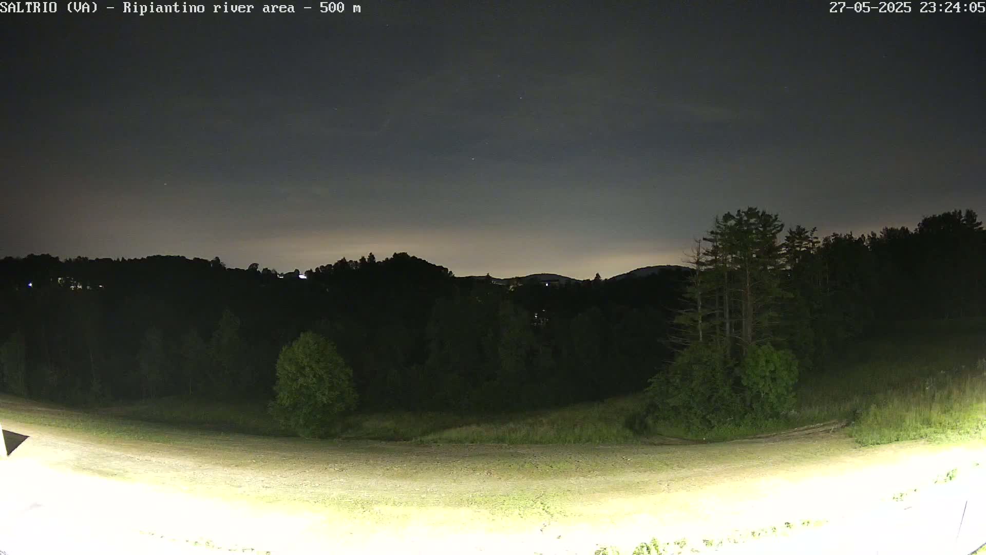 A nighttime view of a dark, tree-lined hillside under a mostly clear, dark sky.