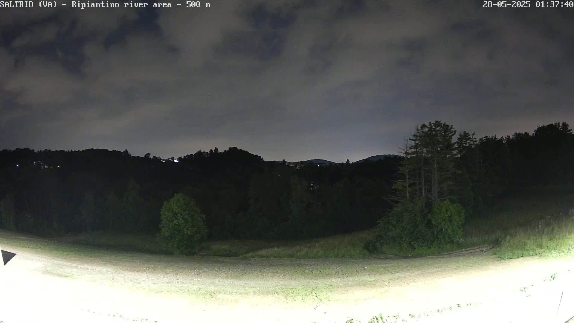 A nighttime view of a grassy field leading to dark, tree-covered hills under a cloudy sky.