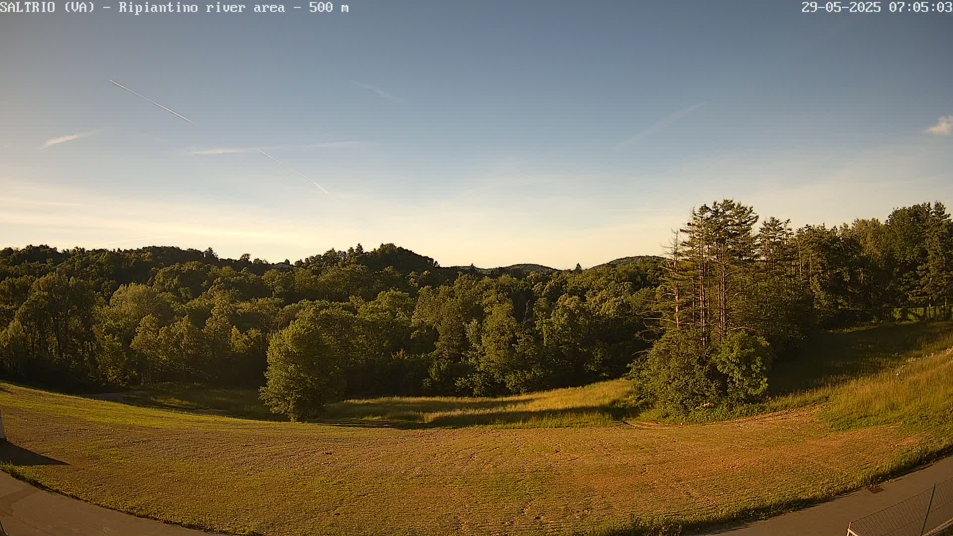 A mostly clear sky overlooks a field of dry, light brown grass, beyond which lies a lush green forest covering rolling hills.