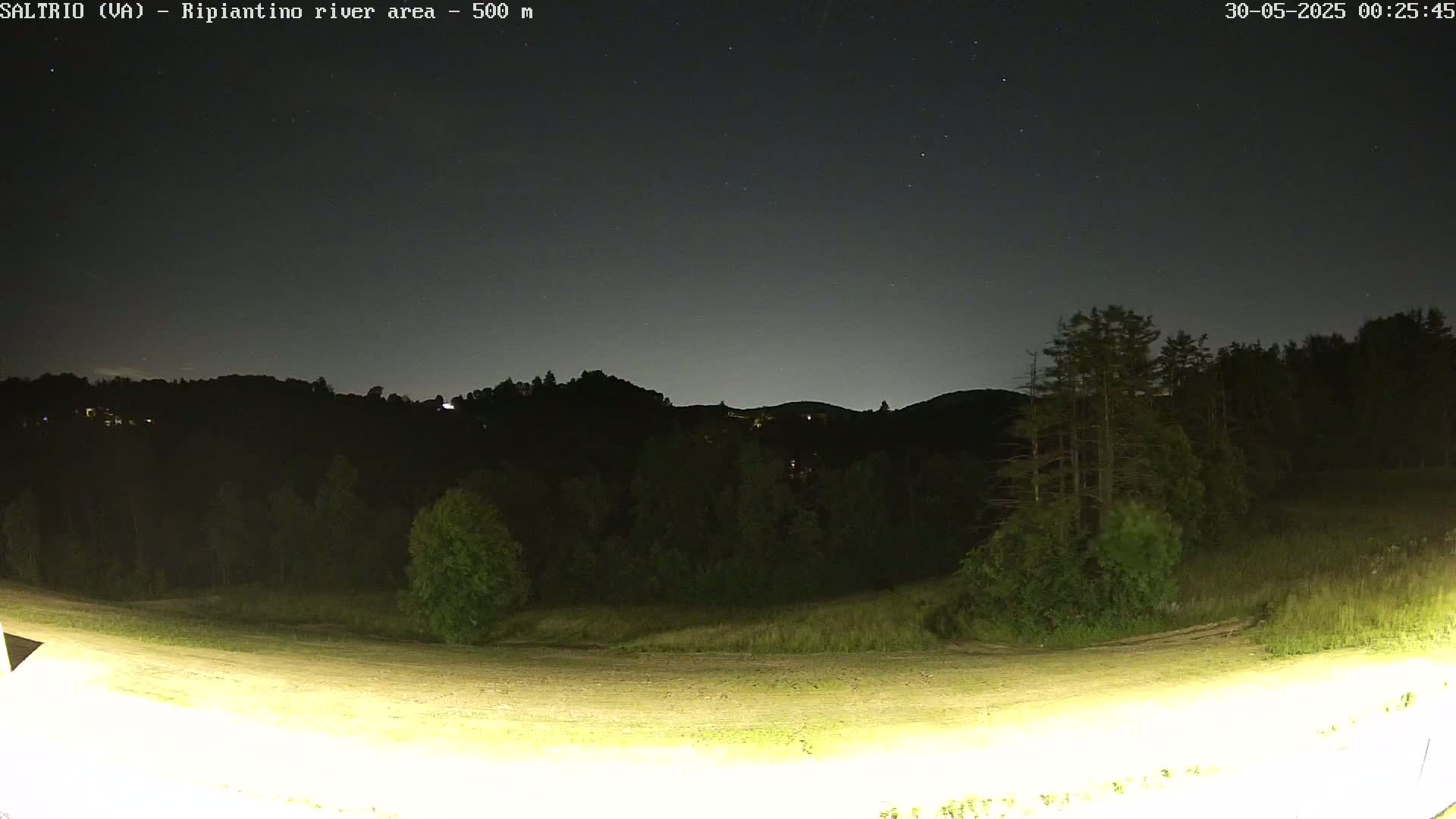 A nighttime view of a dark, wooded hillside under a clear, starry sky.