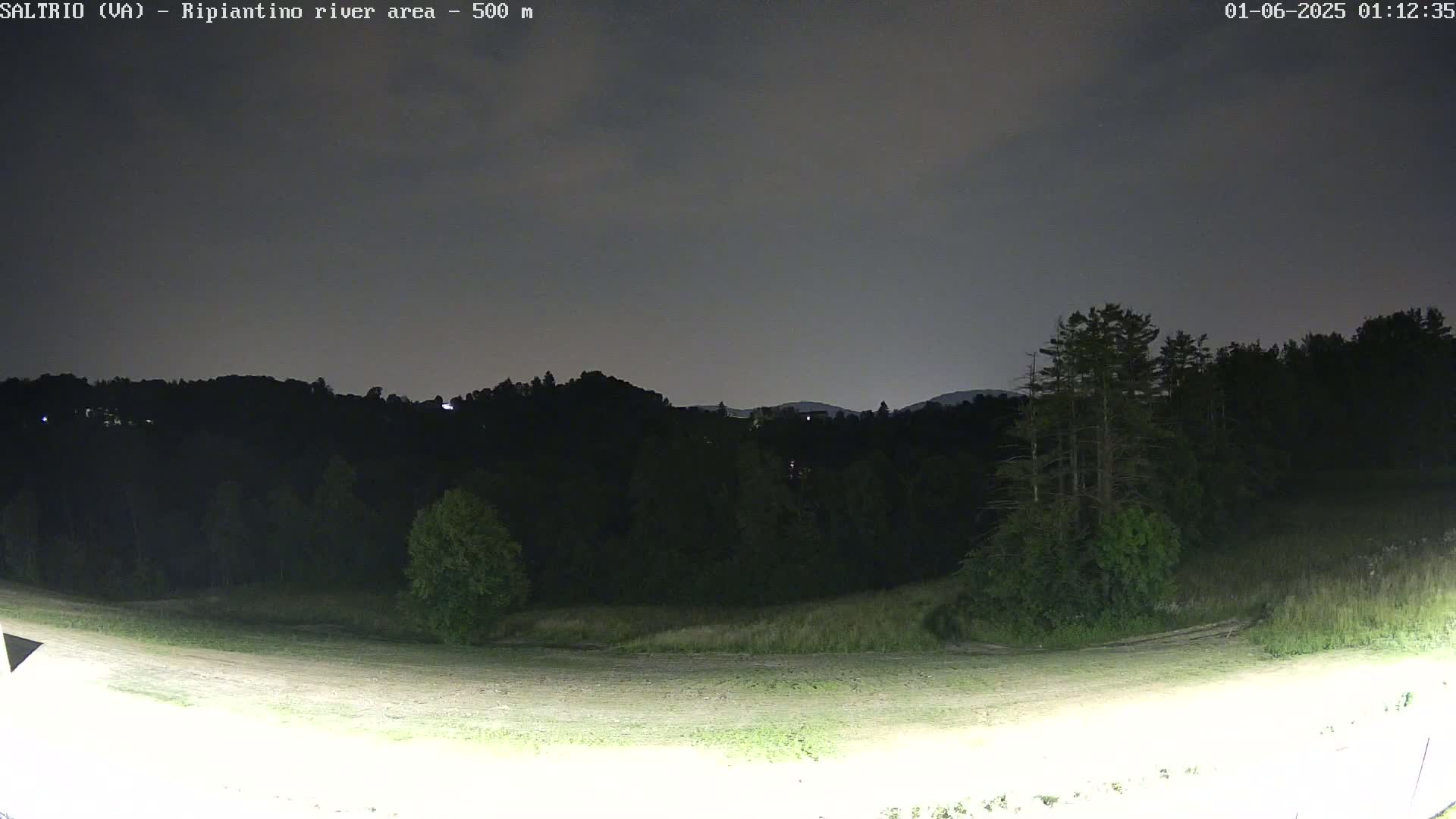A nighttime view of a grassy field leading to a dark, wooded hillside under a mostly cloudy sky.