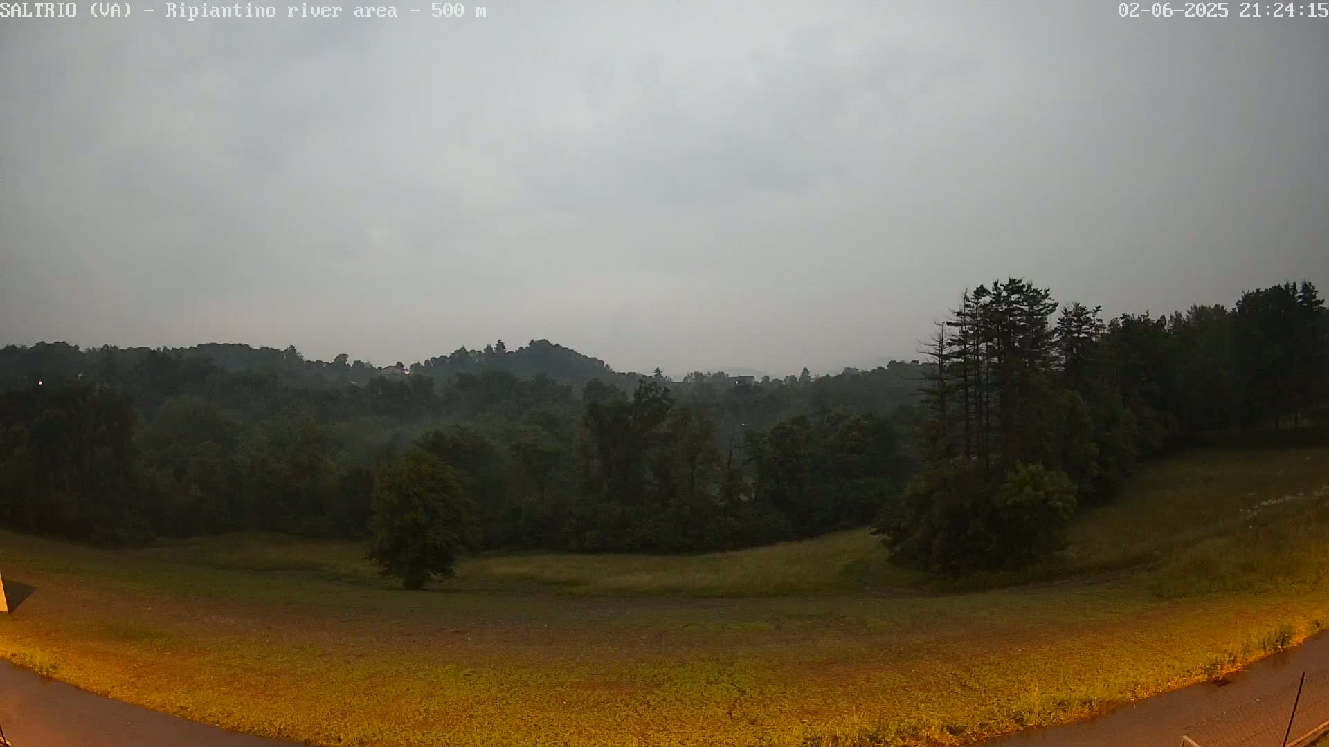 A mostly cloudy, possibly overcast evening scene shows a field bordered by dark green trees and hills in the distance.