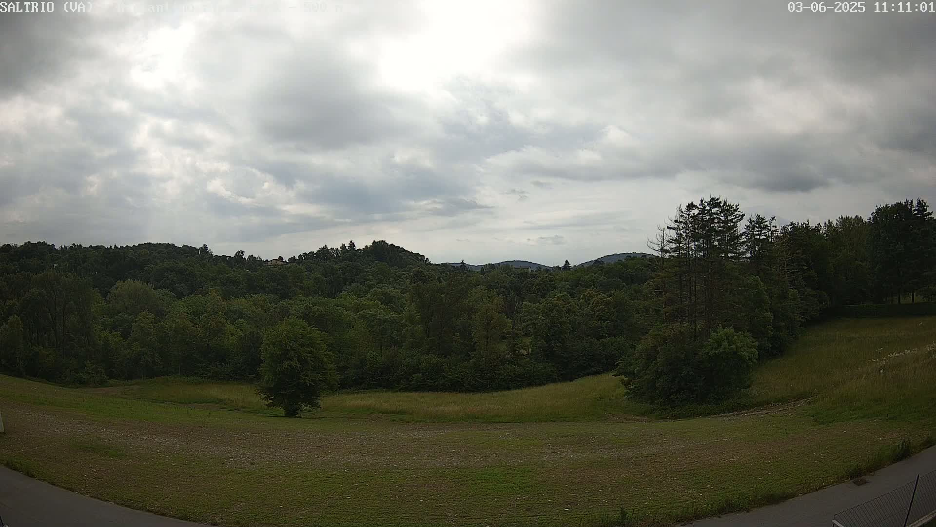 A wide shot of a grassy field and lush green forest under a mostly cloudy sky.