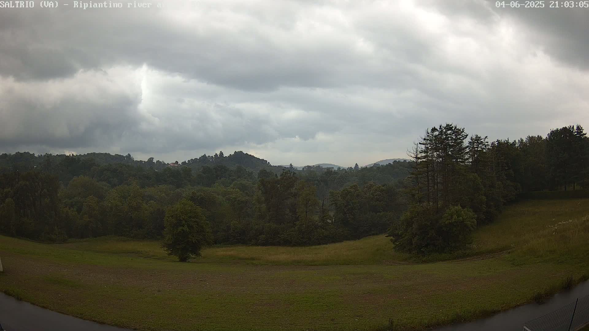 A sprawling field of grass and trees under a heavily overcast sky.