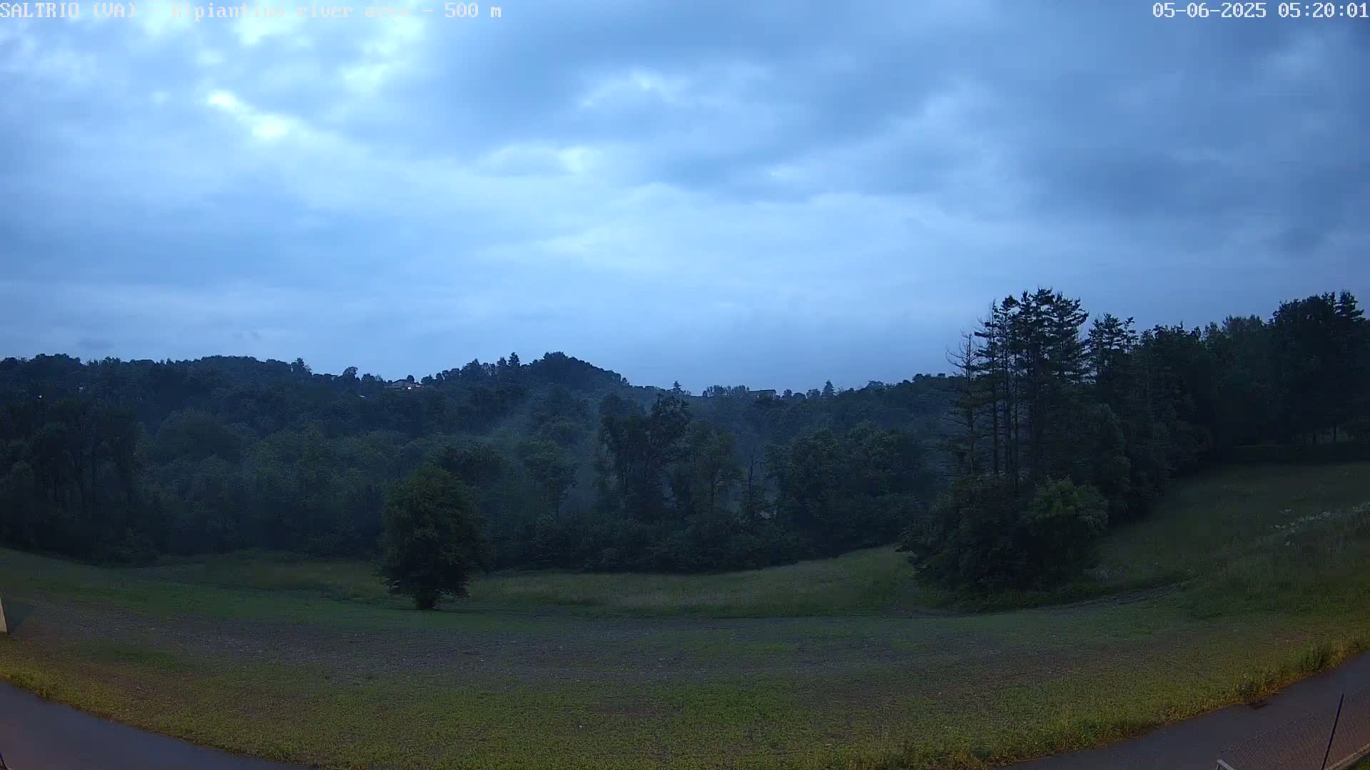 A wide, grassy field stretches before a line of dark green trees and hills under a cloudy, twilight sky.