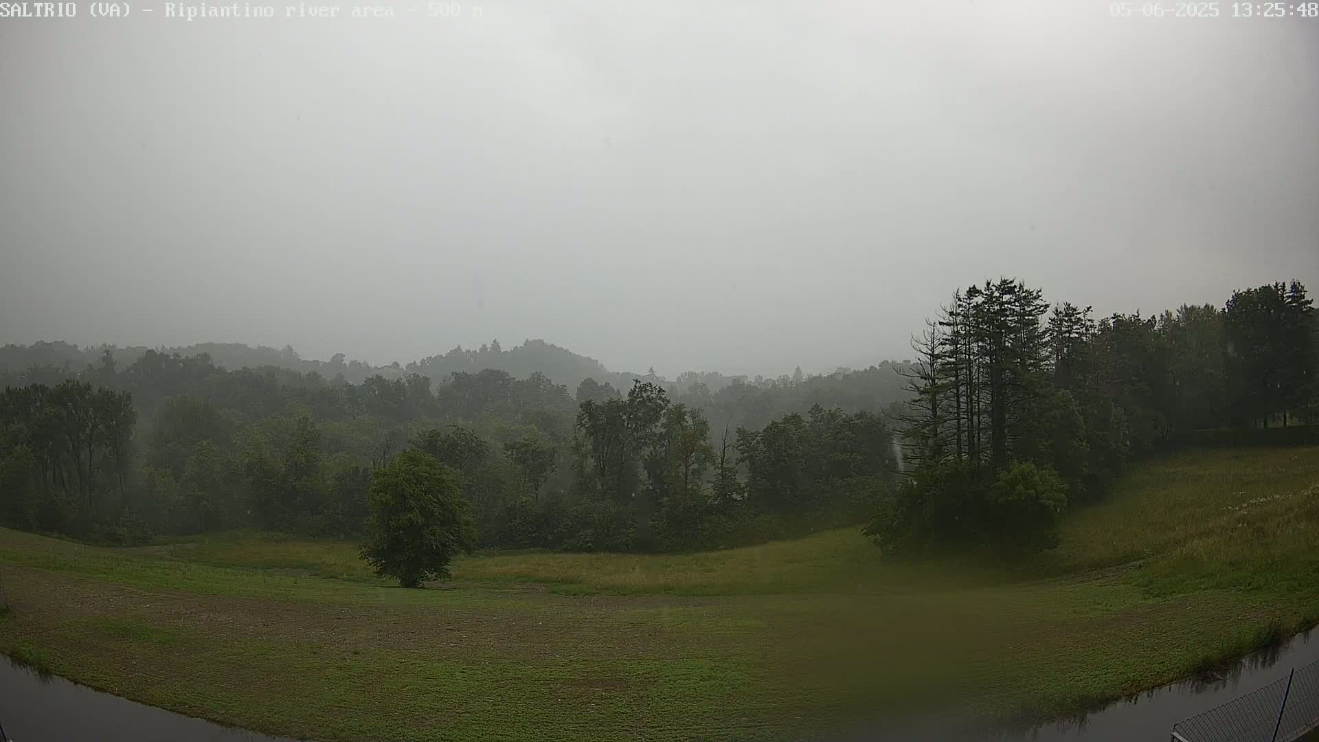 A hazy, overcast day reveals a grassy field leading to a line of trees and hills in the distance, partially obscured by mist or light rain.