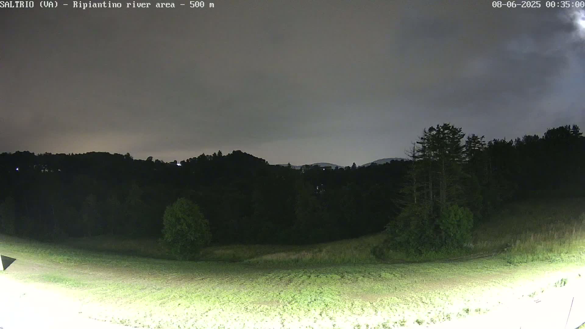 A nighttime view of a grassy field sloping gently upward towards a dark, tree-covered hill under a cloudy sky.