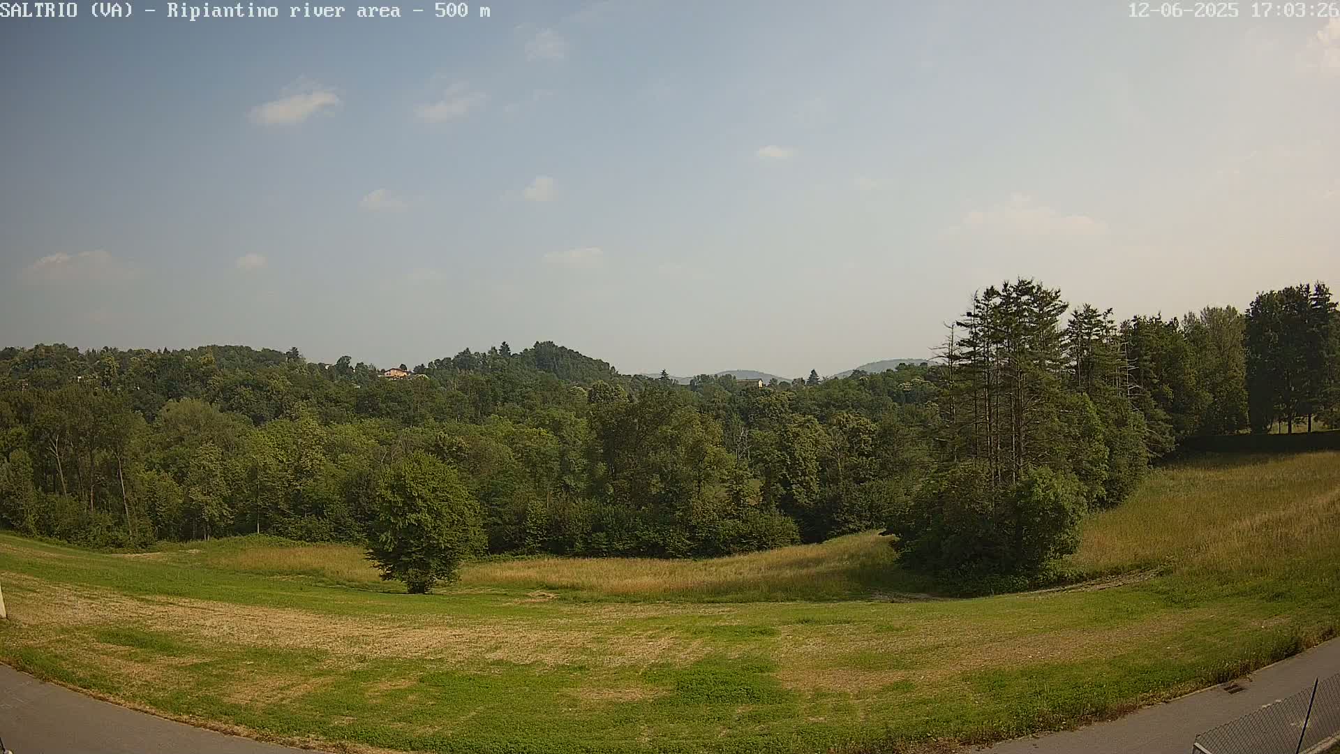 A mostly sunny, outdoor view shows a grassy field and a forest of green trees extending to rolling hills in the distance.