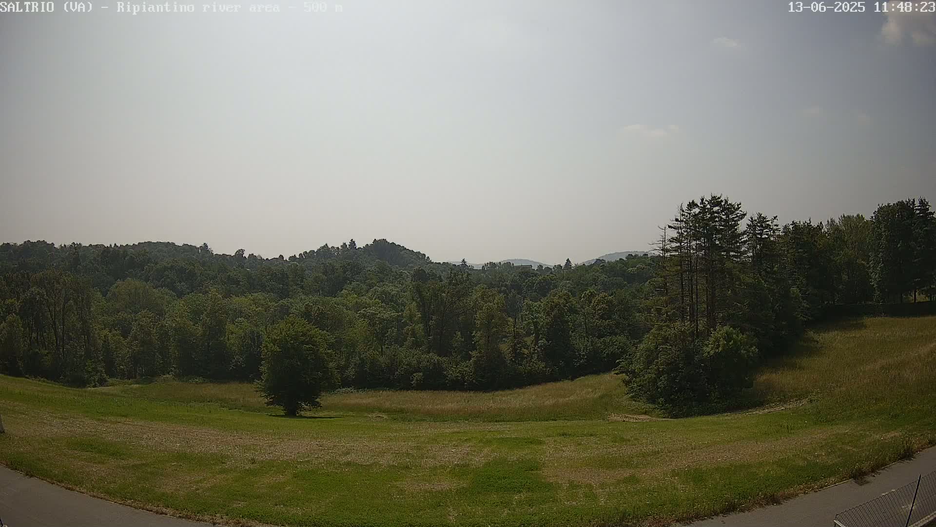 A hazy, sunny day reveals a vast green field leading to a dense forest and rolling hills in the distance.