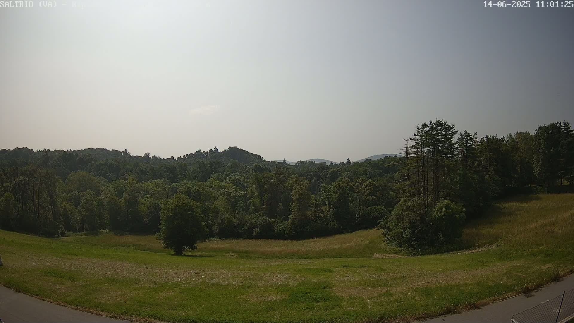 A grassy field slopes gently down to a line of trees, beyond which are hazy hills under a light, overcast sky.