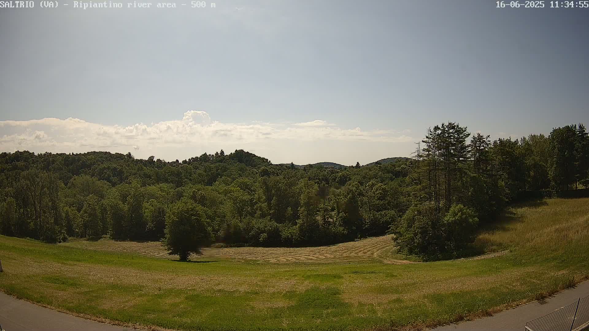 A partly cloudy sky overlooks a verdant landscape of lush green fields and a forest, with a recently harvested section showing rows of cut hay.