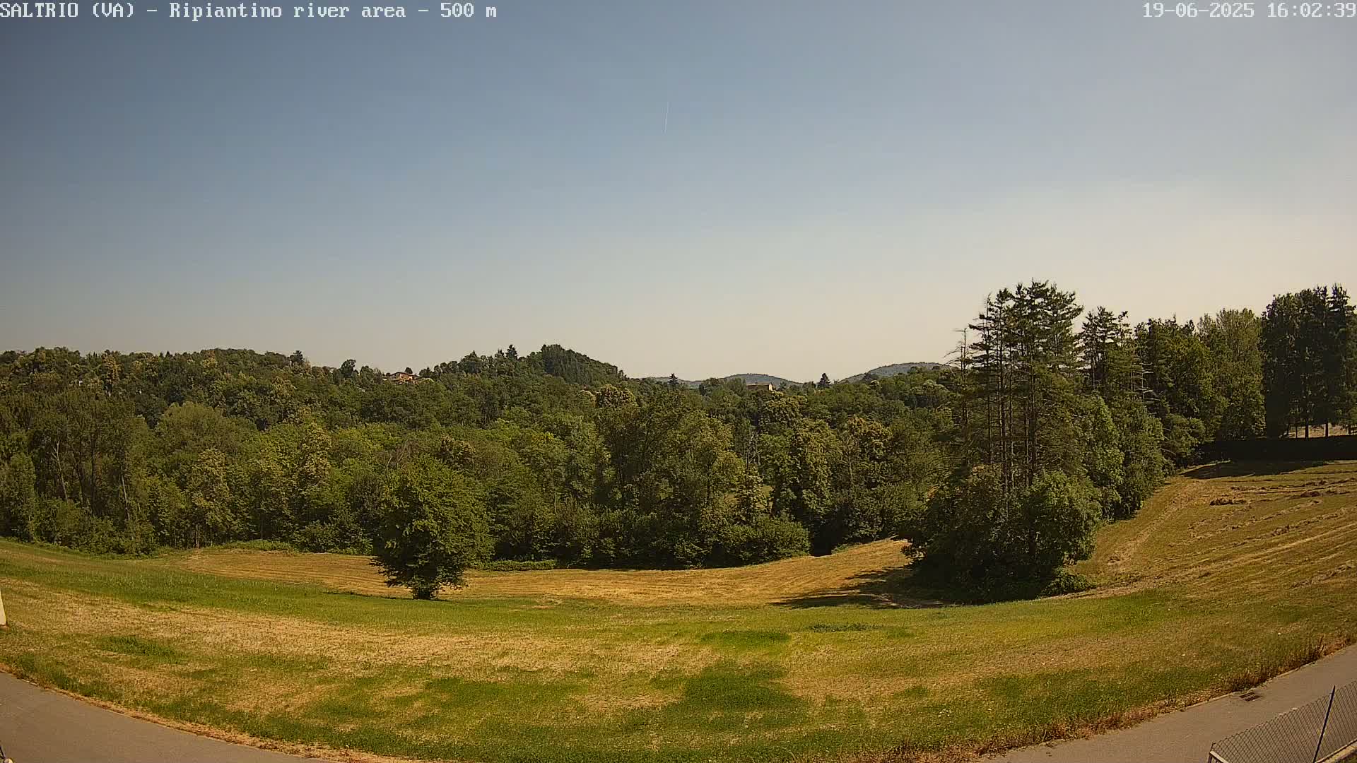 A high-angle view of a grassy field bordered by lush green trees under a clear, bright sky.