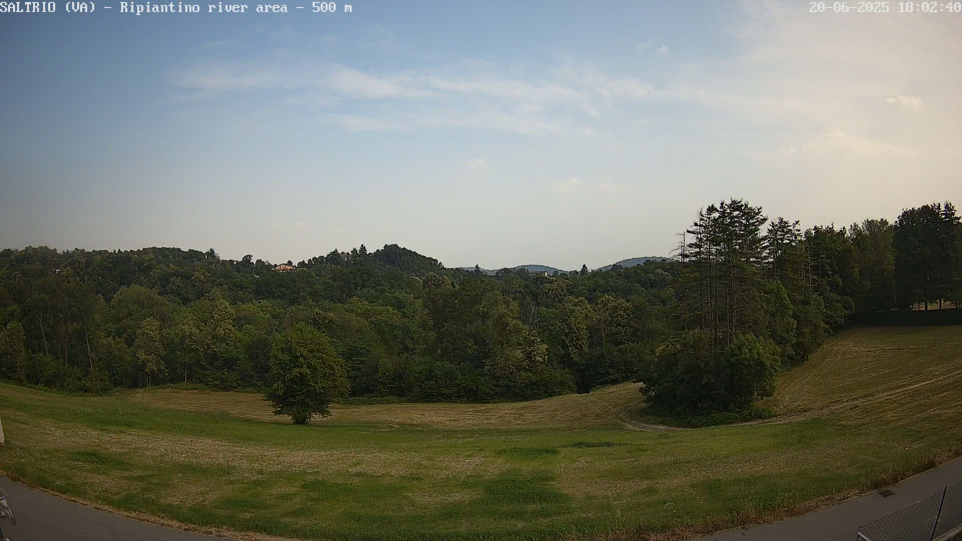 A mostly sunny sky overlooks a grassy field and a lush green forest on a hillside.