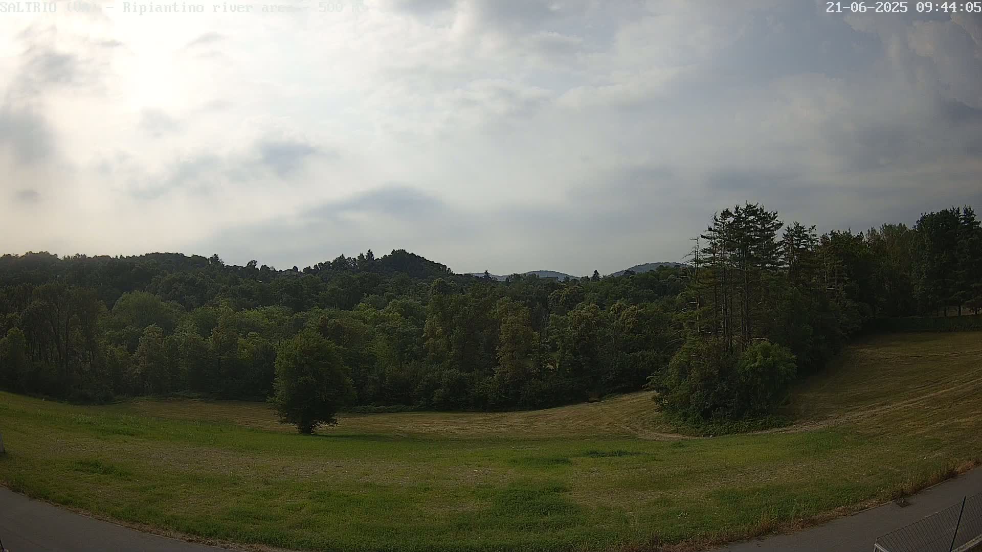 A mostly cloudy sky overlooks a grassy field and a lush green forest, with hills visible in the distance.