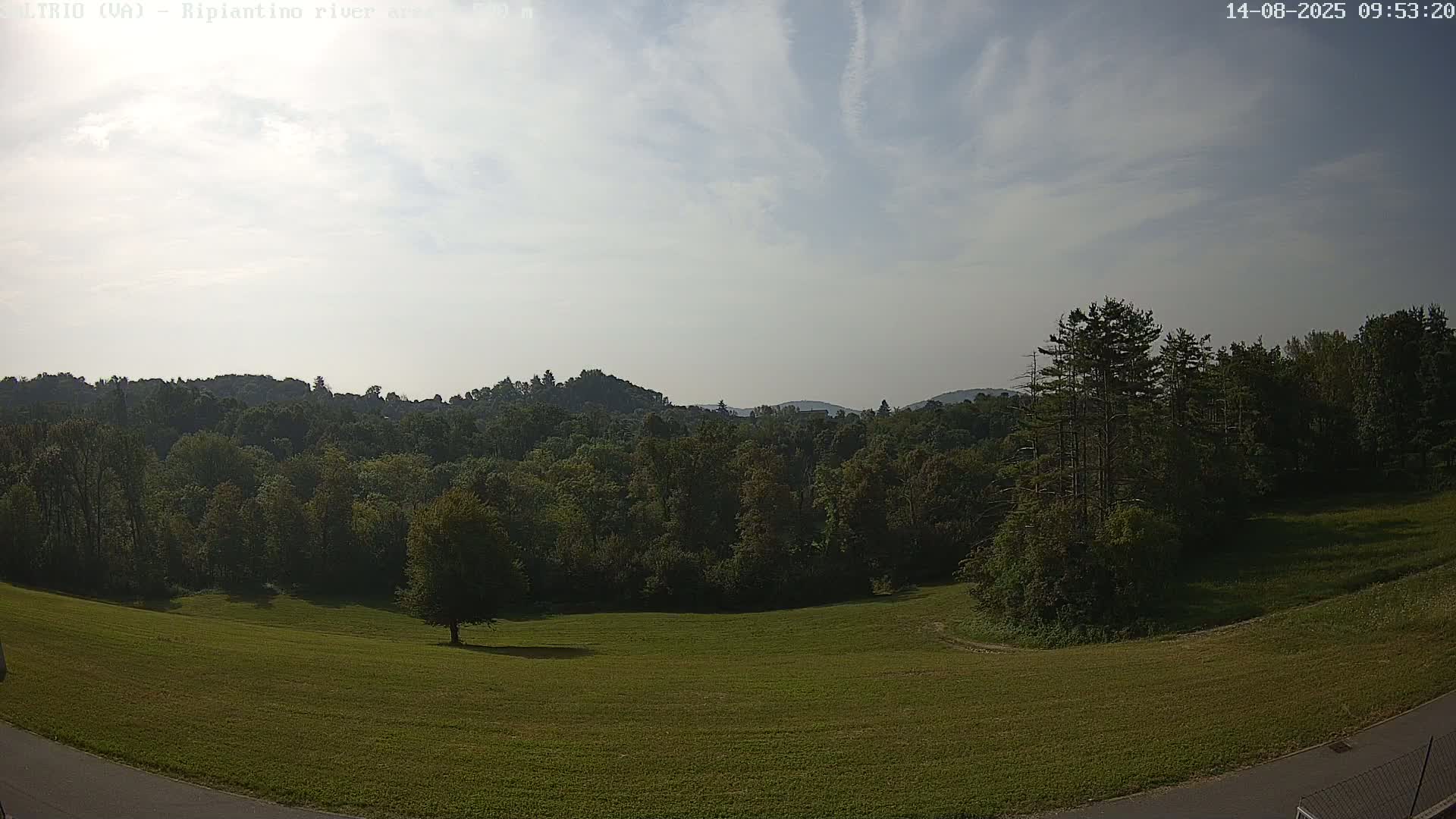 A grassy field stretches towards a line of lush green trees and hills under a mostly clear, lightly cloudy sky.