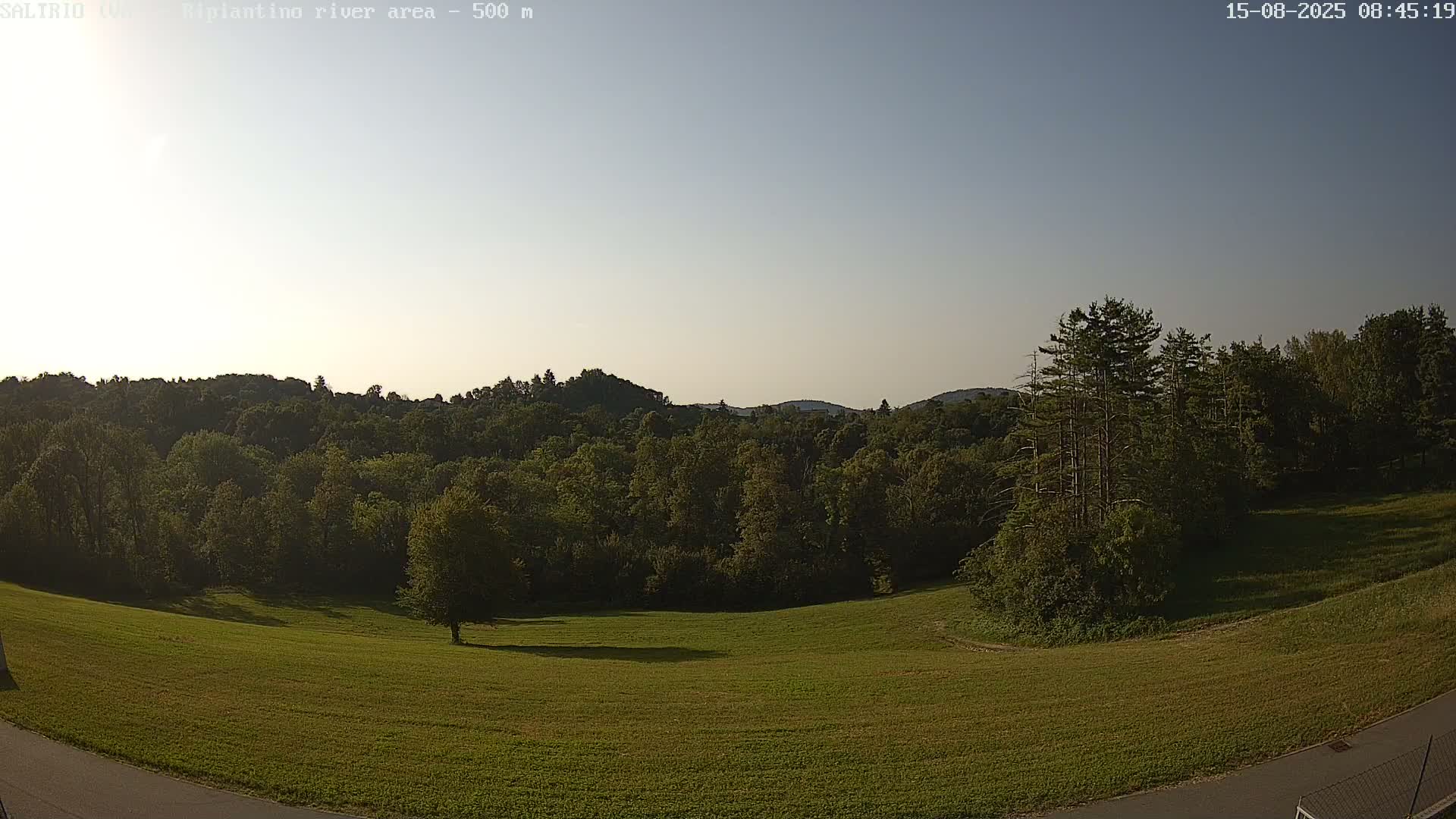 A grassy field slopes gently down to a wooded area under a clear, light-blue sky.