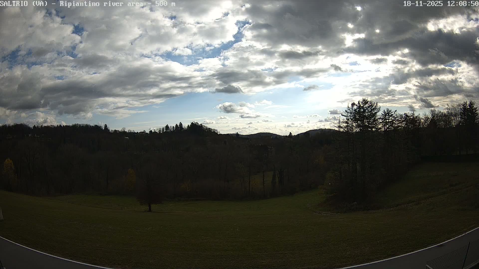 An expansive green field dotted with bare and fall-colored trees leads to a dense forest partially obscured by a thick, overarching fog under an overcast sky.