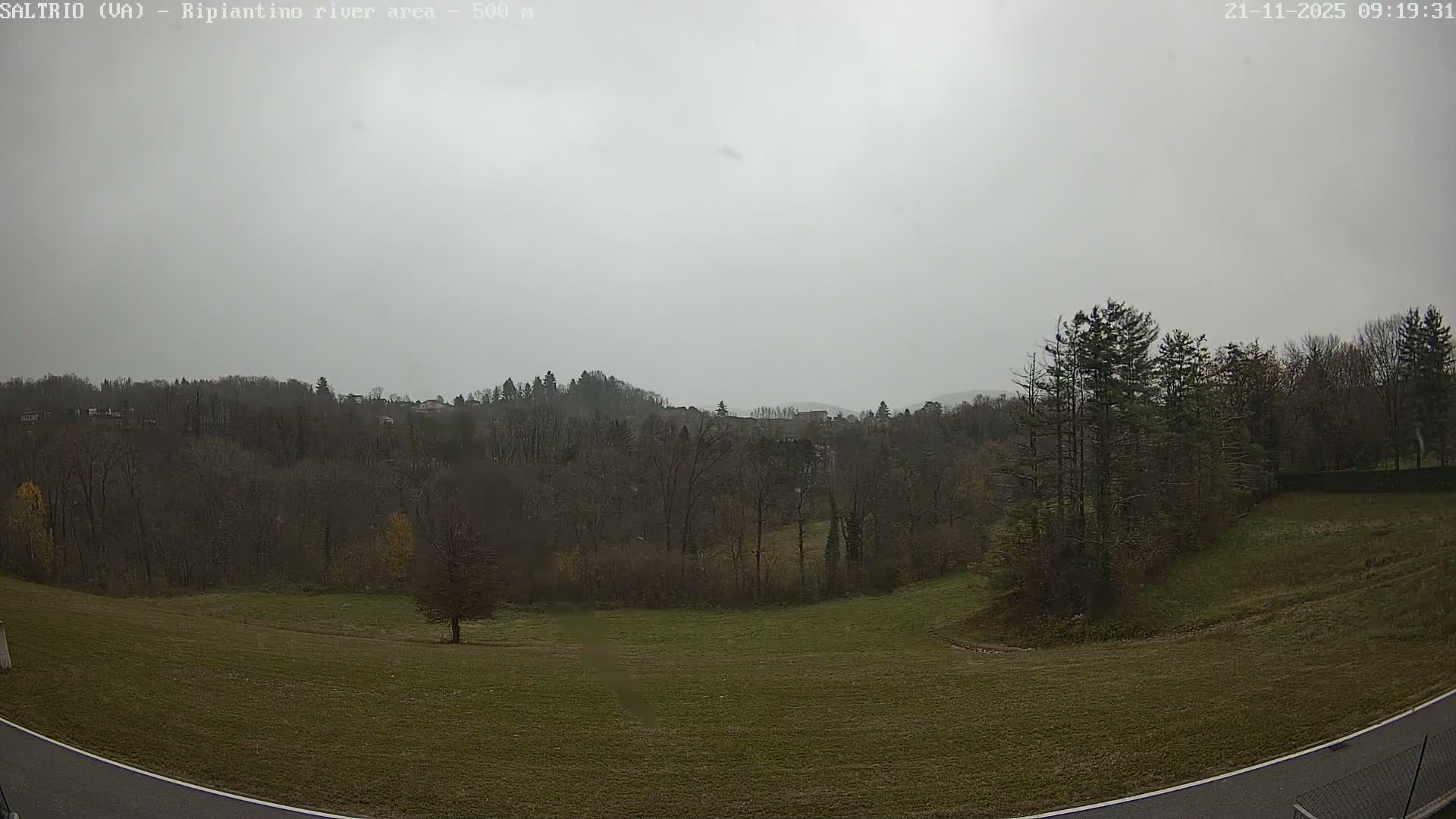 On an overcast day, a wide outdoor vista showcases a verdant grassy field with a few autumn trees, extending towards densely wooded hills dotted with buildings, all under a uniform grey sky.