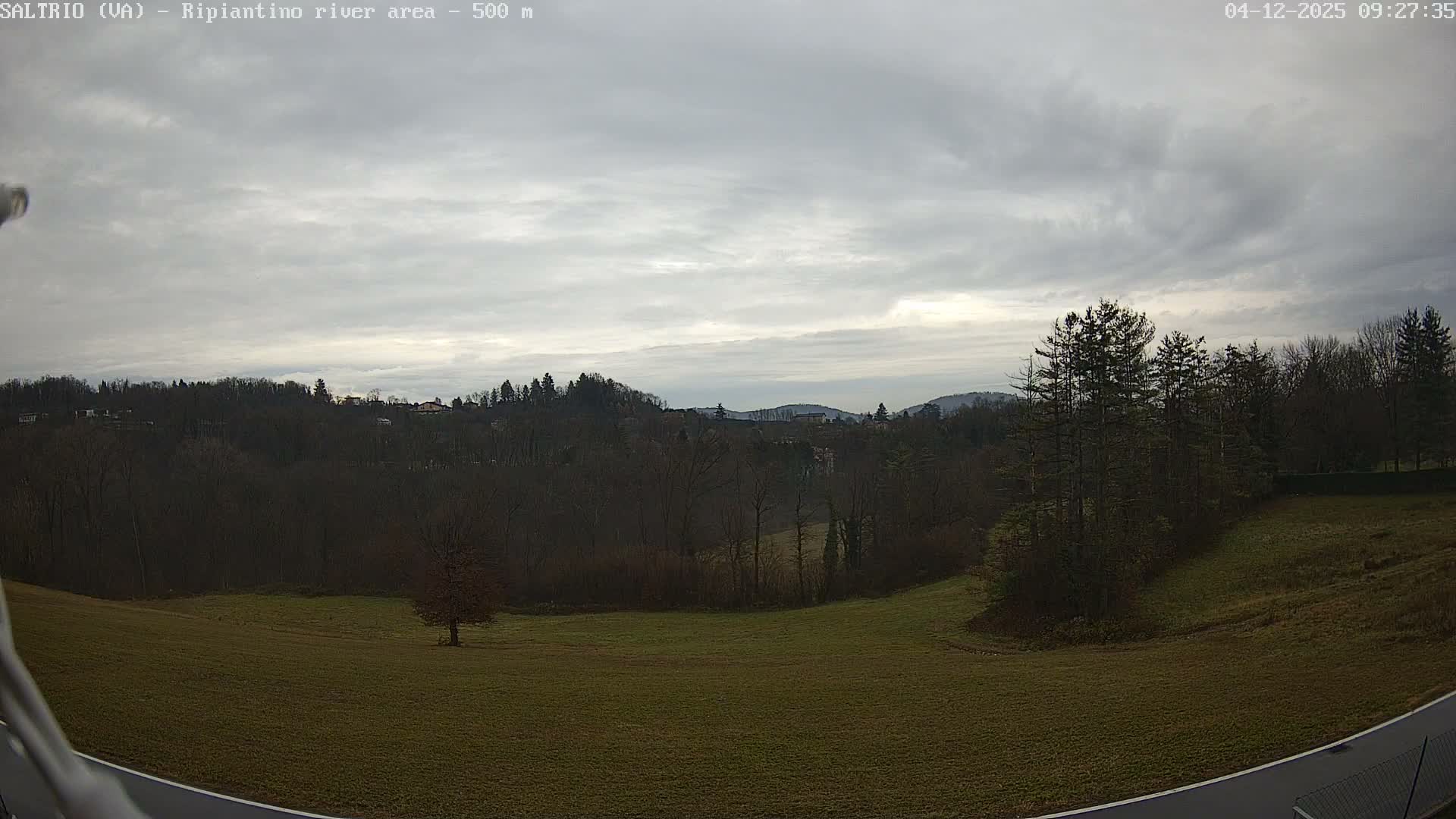 The image displays an expansive outdoor landscape under an overcast sky, featuring a grassy field with a solitary bare tree and a cluster of evergreens, backed by a densely wooded hillside with distant buildings and rolling hills in the background.