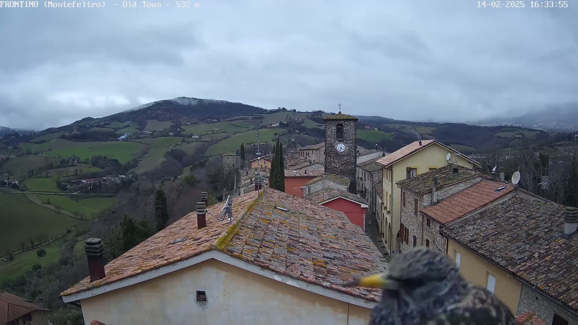 A view from a rooftop shows a small town nestled in a valley, under a cloudy sky, with a bird in the foreground.