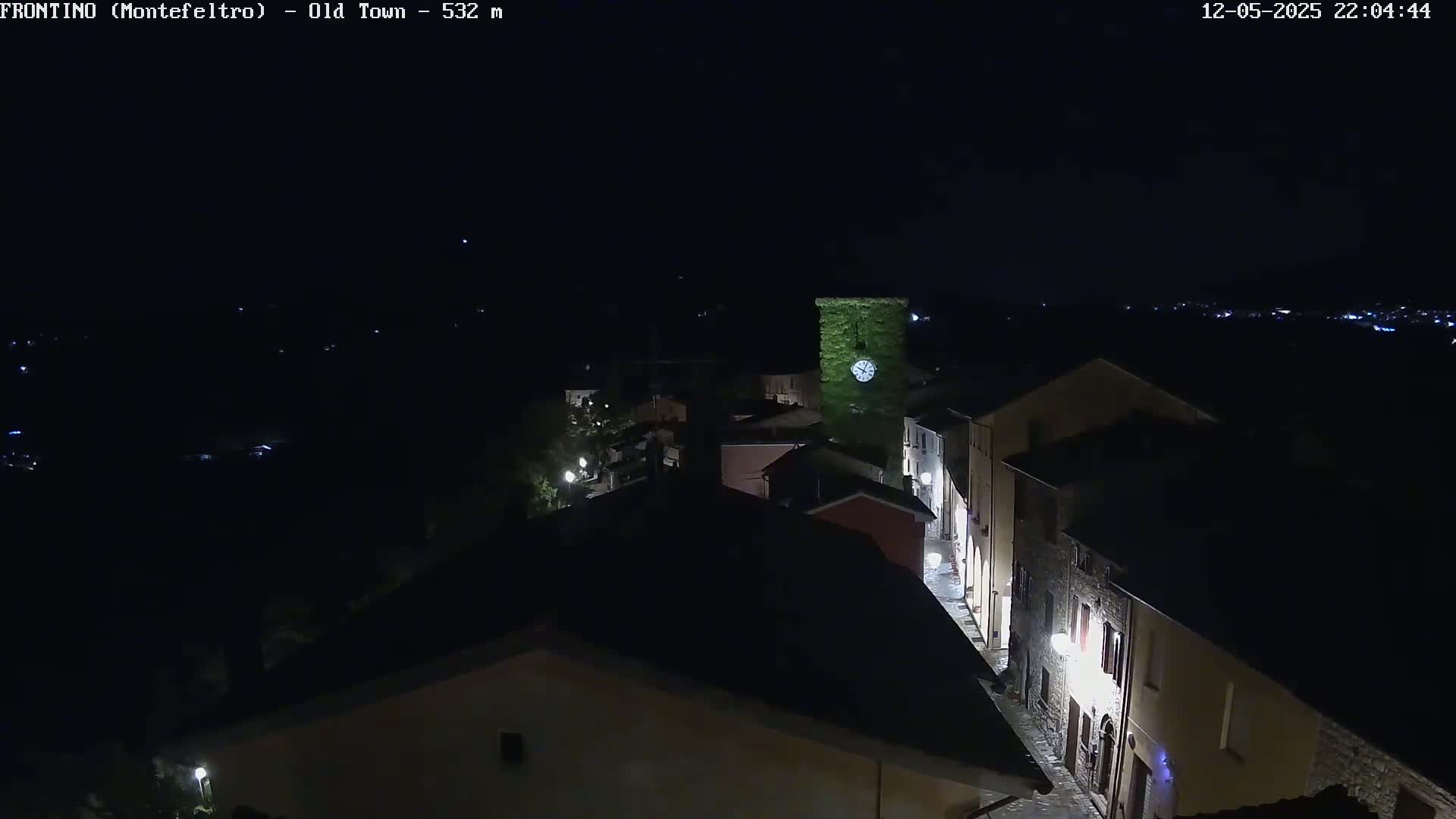 A nighttime, aerial view of a small town with dimly lit buildings and streets, a clock tower covered in vegetation, and a dark, clear sky.