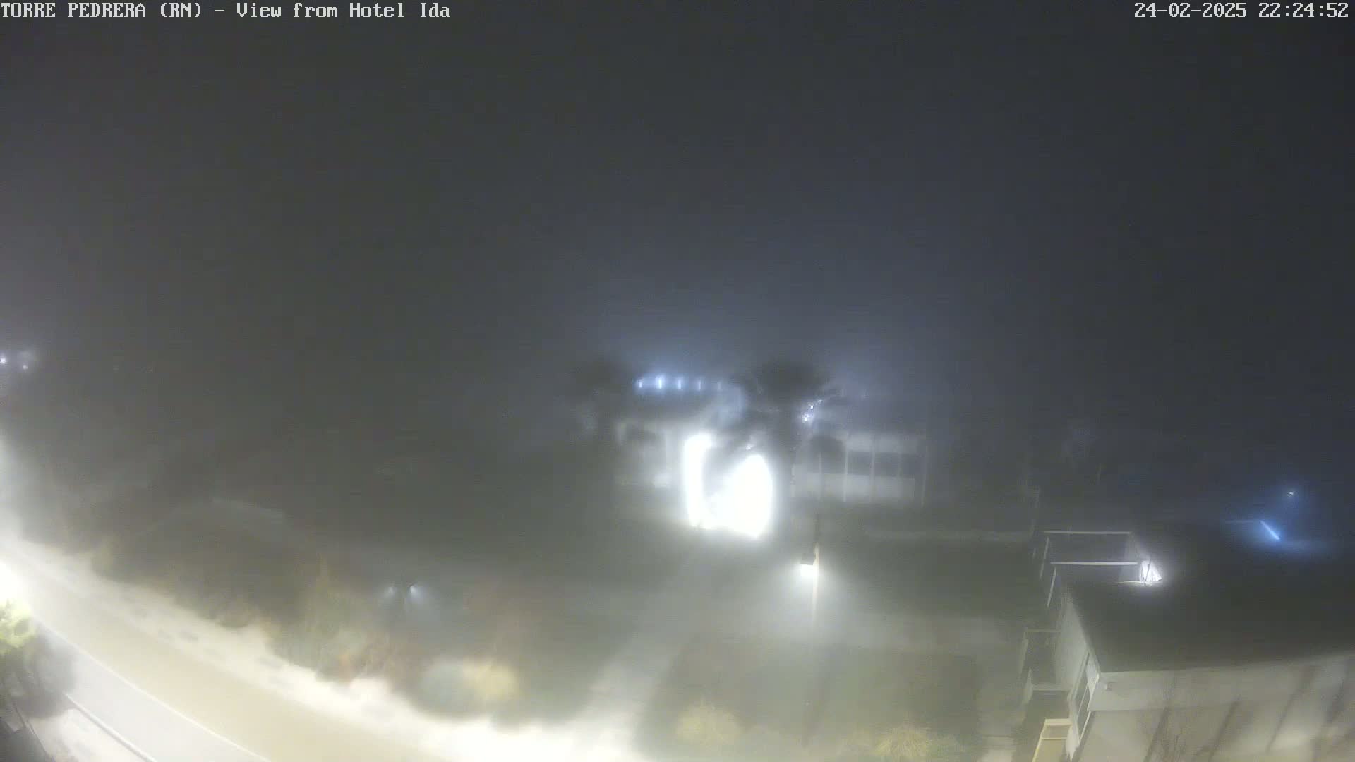 A nighttime view of buildings and palm trees shrouded in heavy fog.