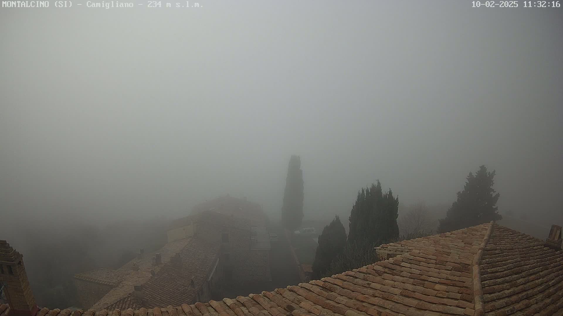 A thick fog obscures a view of terracotta rooftops and dark evergreen trees.