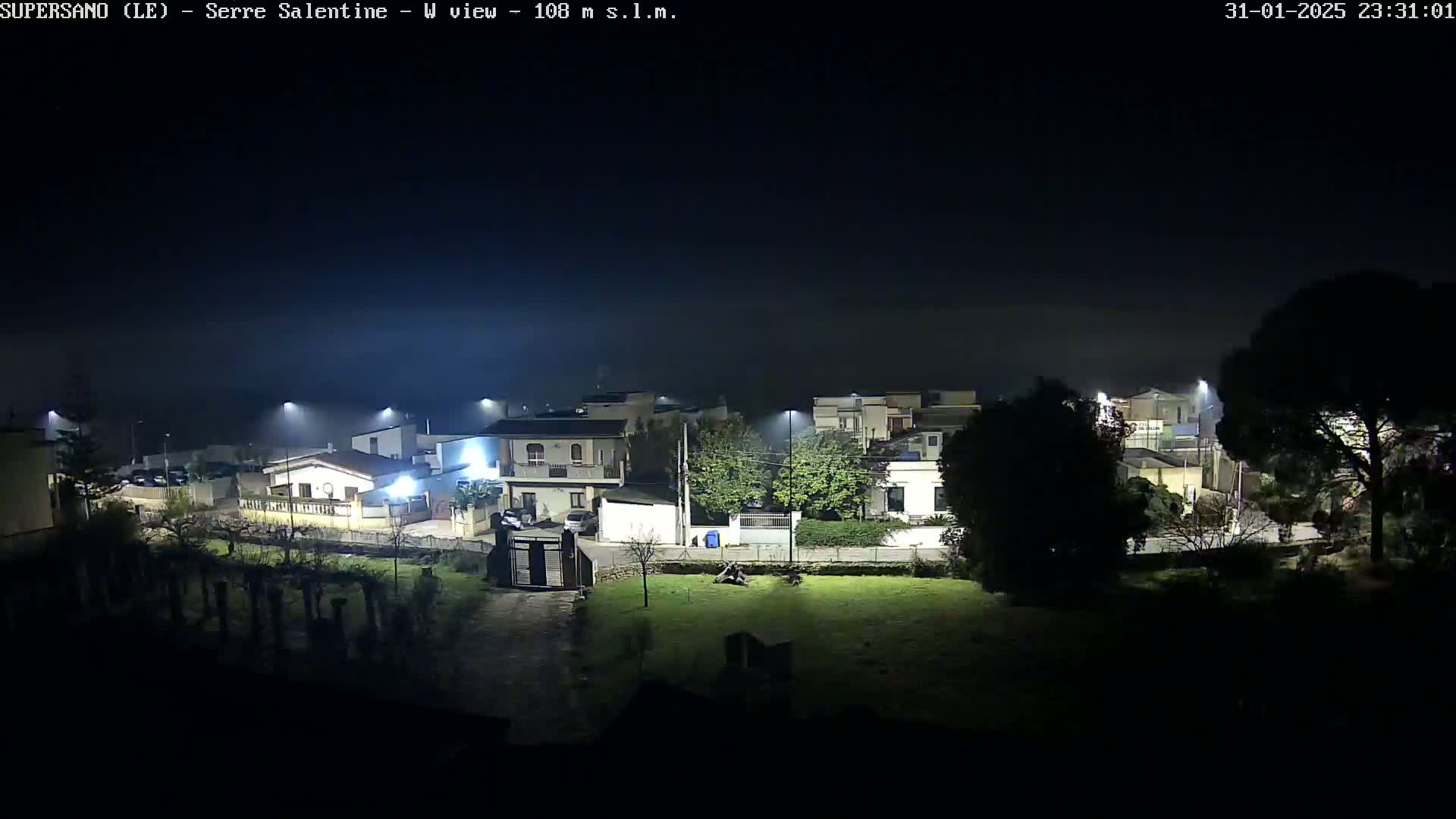 A nighttime, foggy view of a residential area with streetlights illuminating houses and trees.