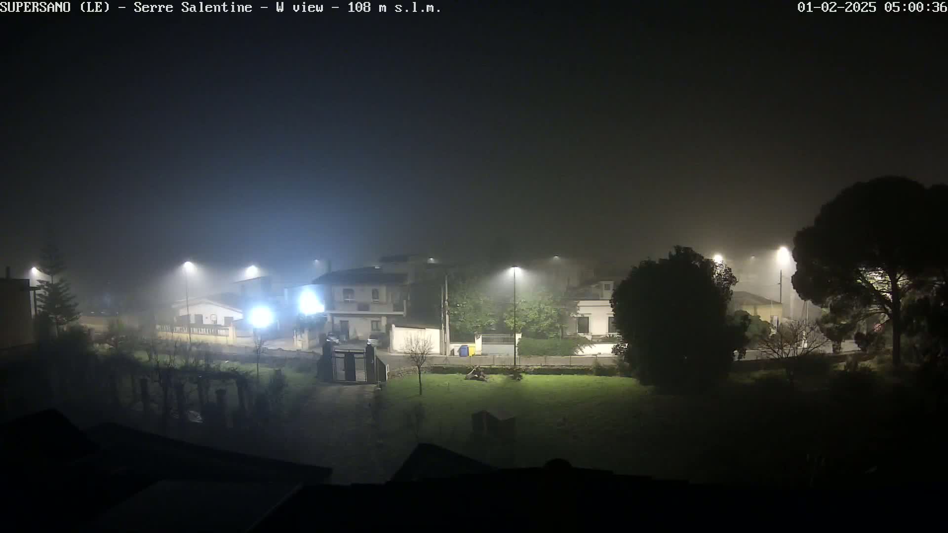 A foggy night scene shows a street lined with houses and streetlights, with trees and a lawn visible in the foreground.