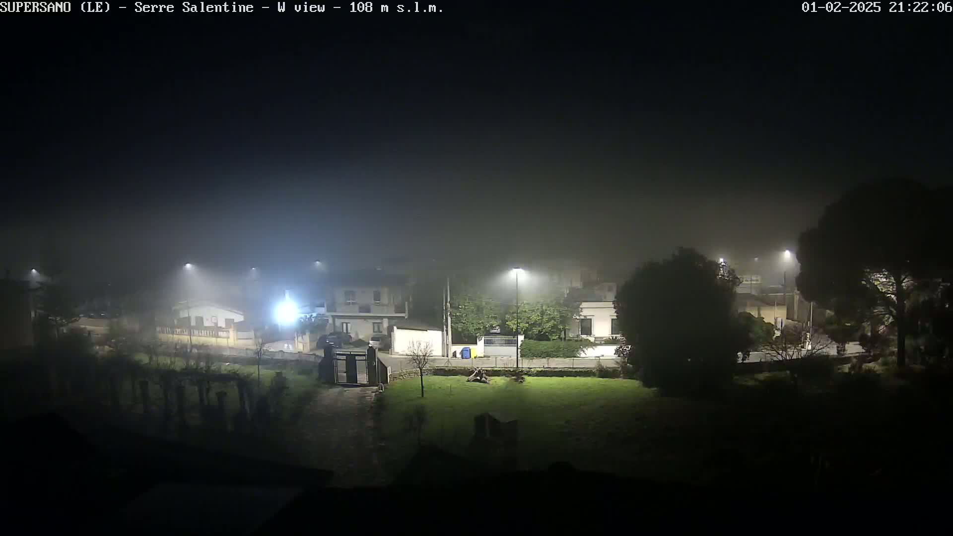 A foggy night scene shows a residential area with streetlights illuminating houses and trees.