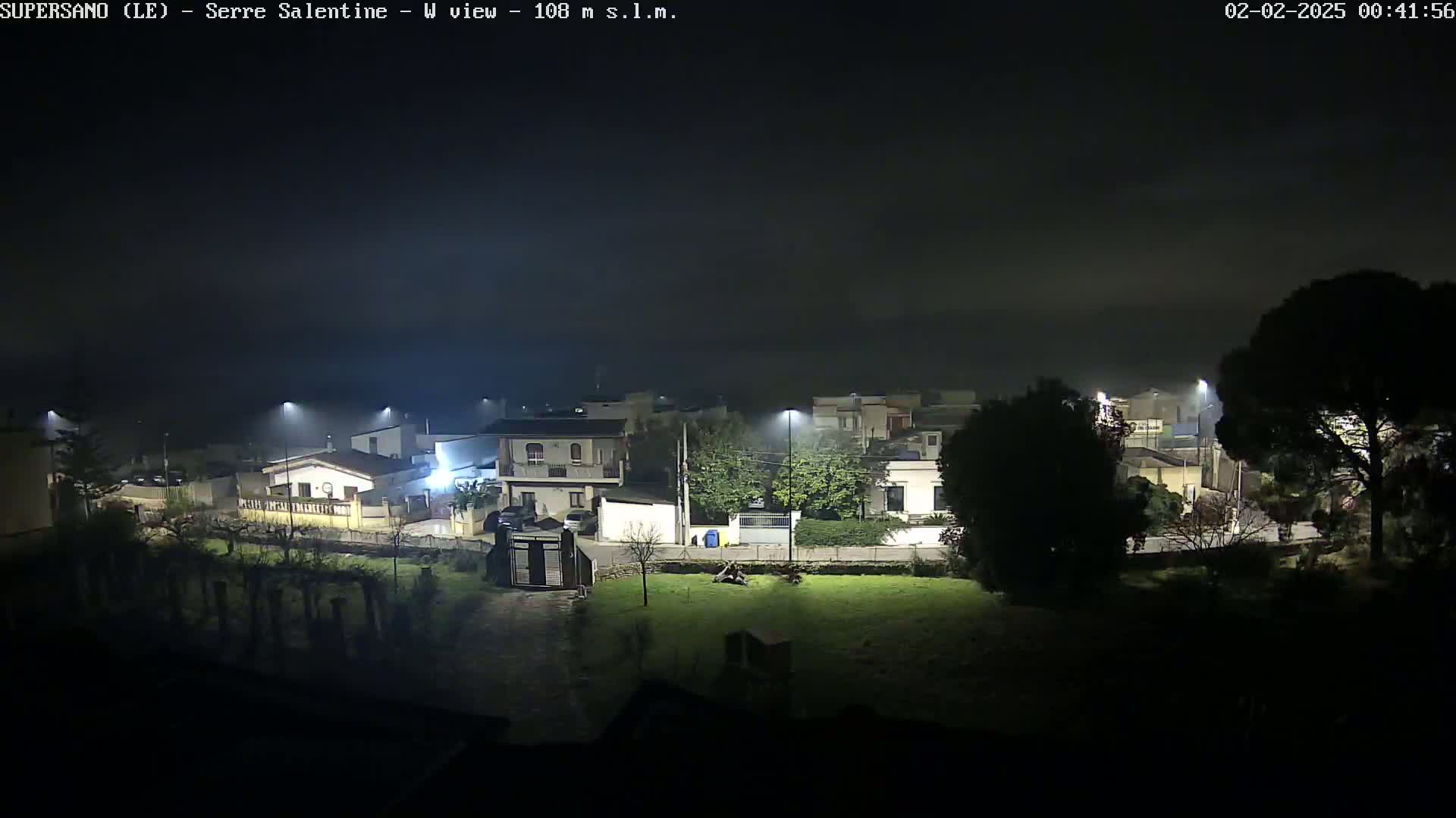 A nighttime, foggy view of a residential area with streetlights illuminating houses and trees.