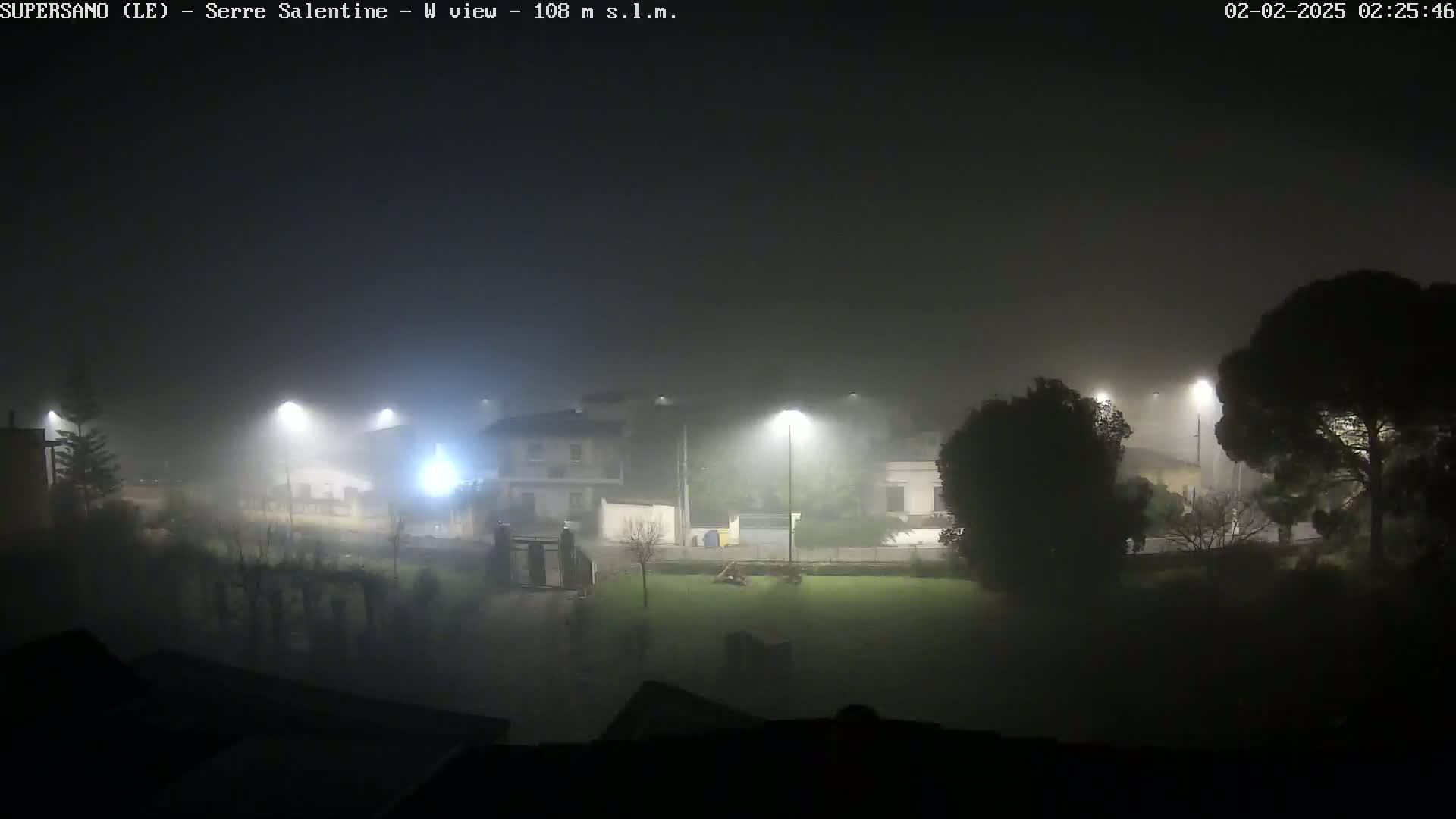 A foggy night scene shows dimly lit buildings and trees, with streetlights illuminating the mist.