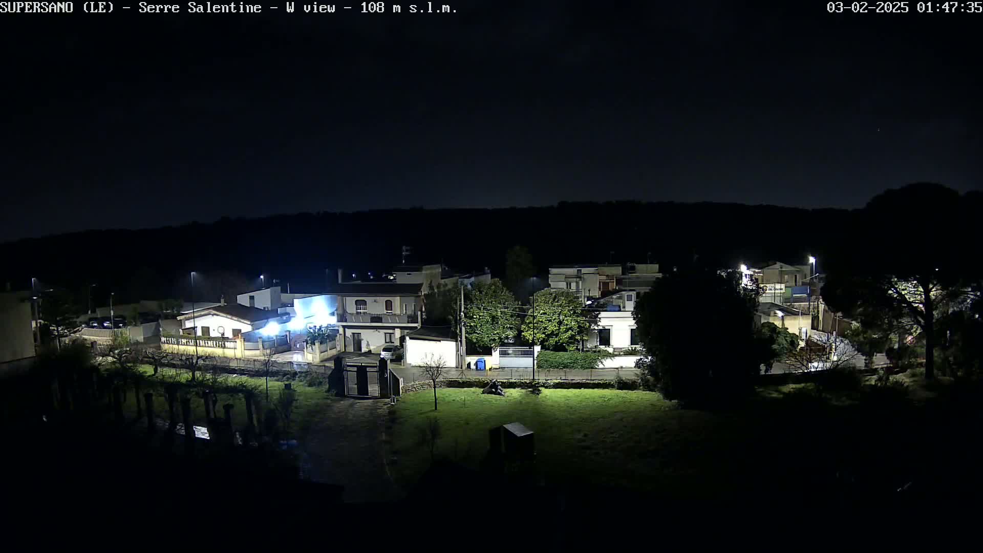 A nighttime view of a residential area with streetlights illuminating houses and trees under a clear, dark sky.